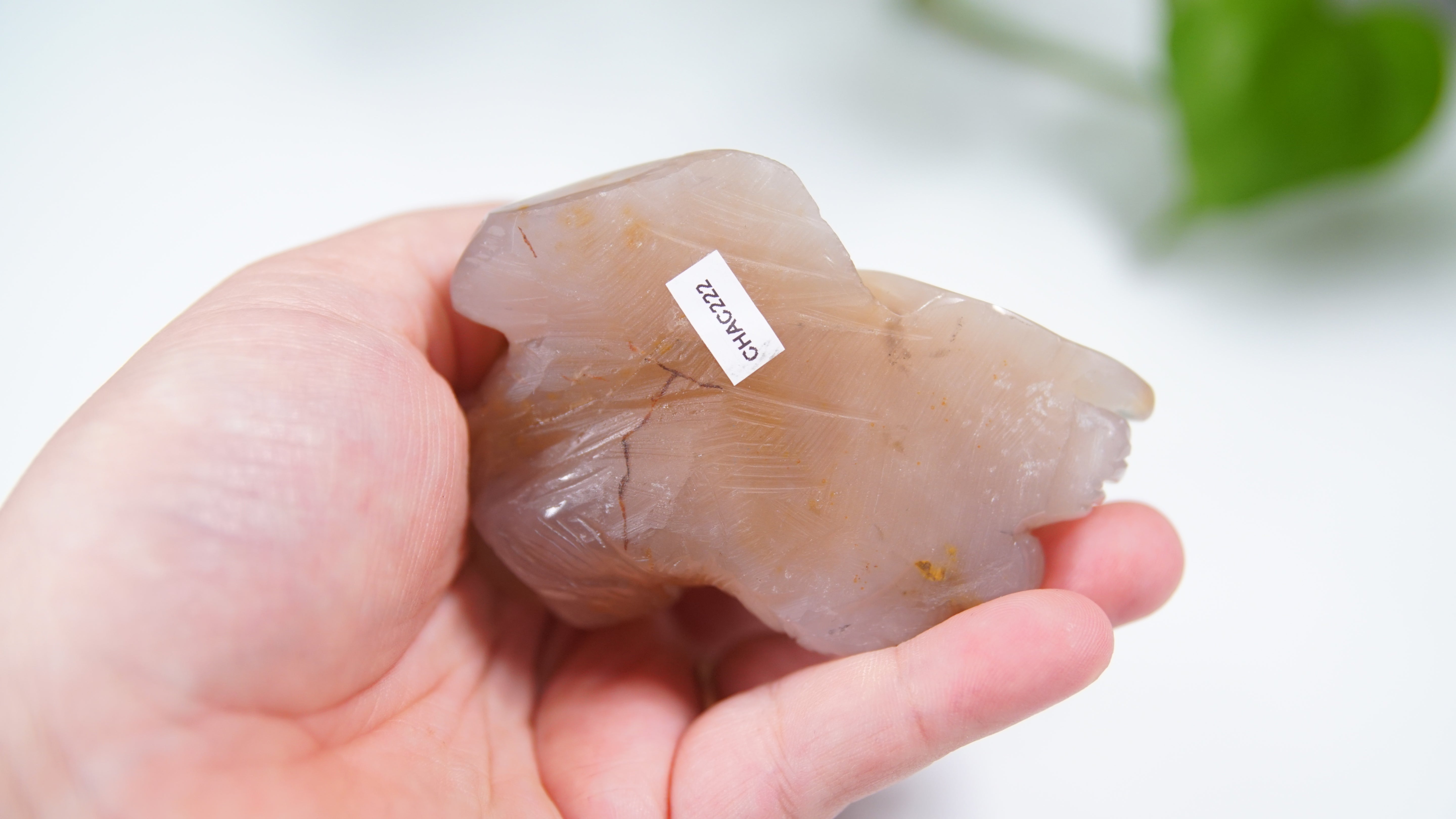 Master Carving - Blue Chalcedony Master Wu Carving - Sleepy Cat