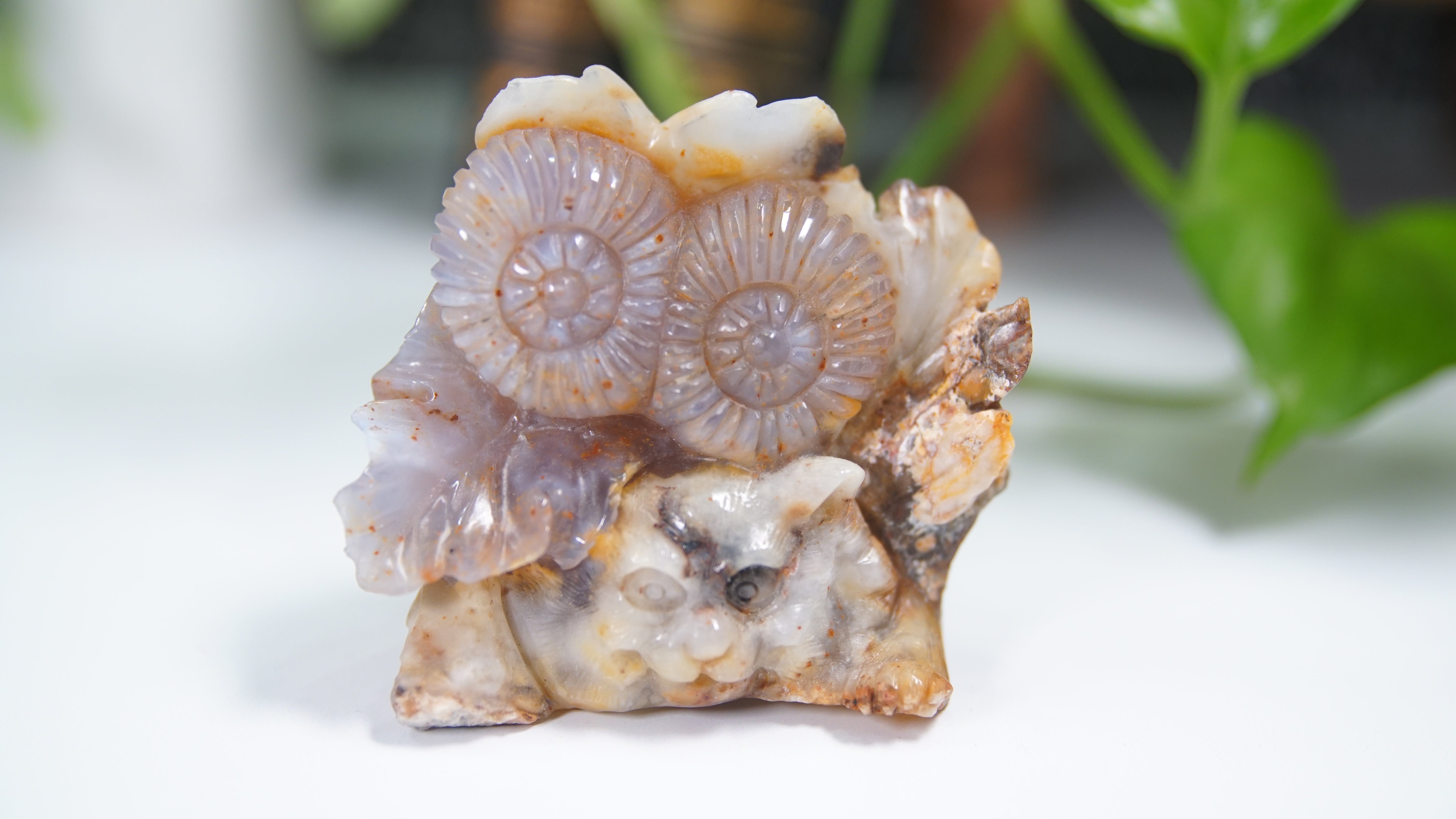 Master Carving - Blue Chalcedony Master Wu Carving - Playful Tiger