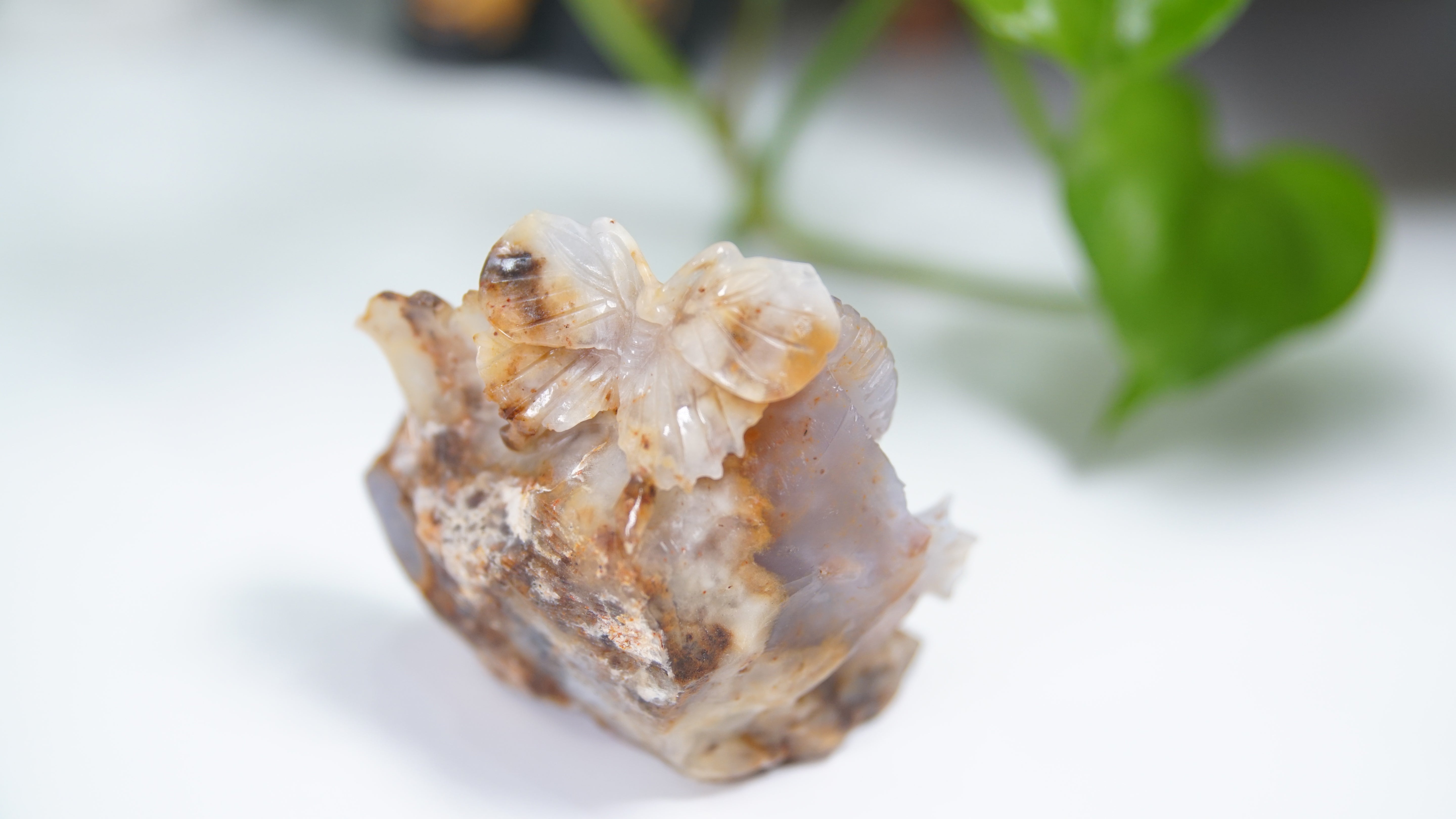 Master Carving - Blue Chalcedony Master Wu Carving - Playful Tiger