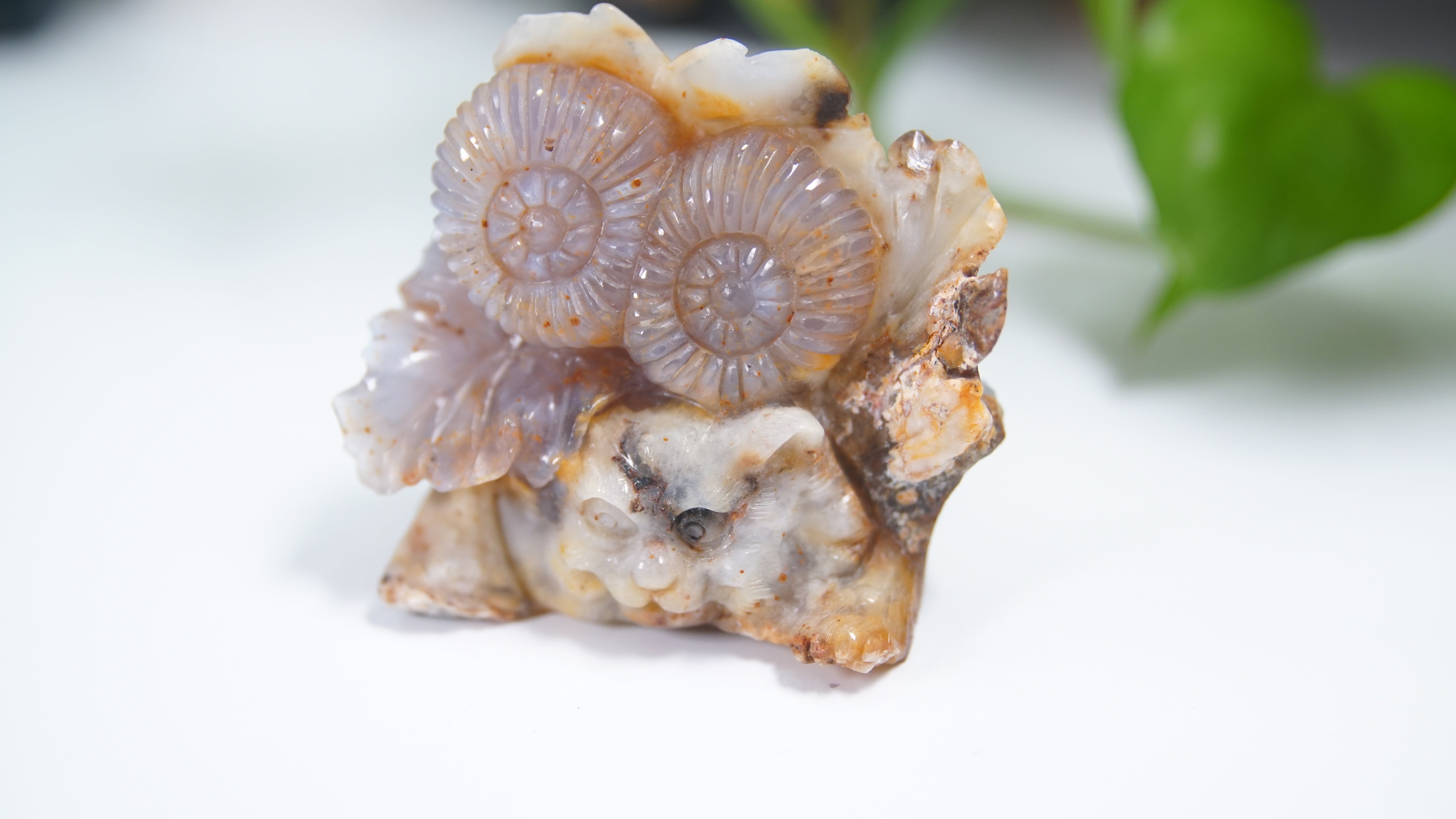 Master Carving - Blue Chalcedony Master Wu Carving - Playful Tiger