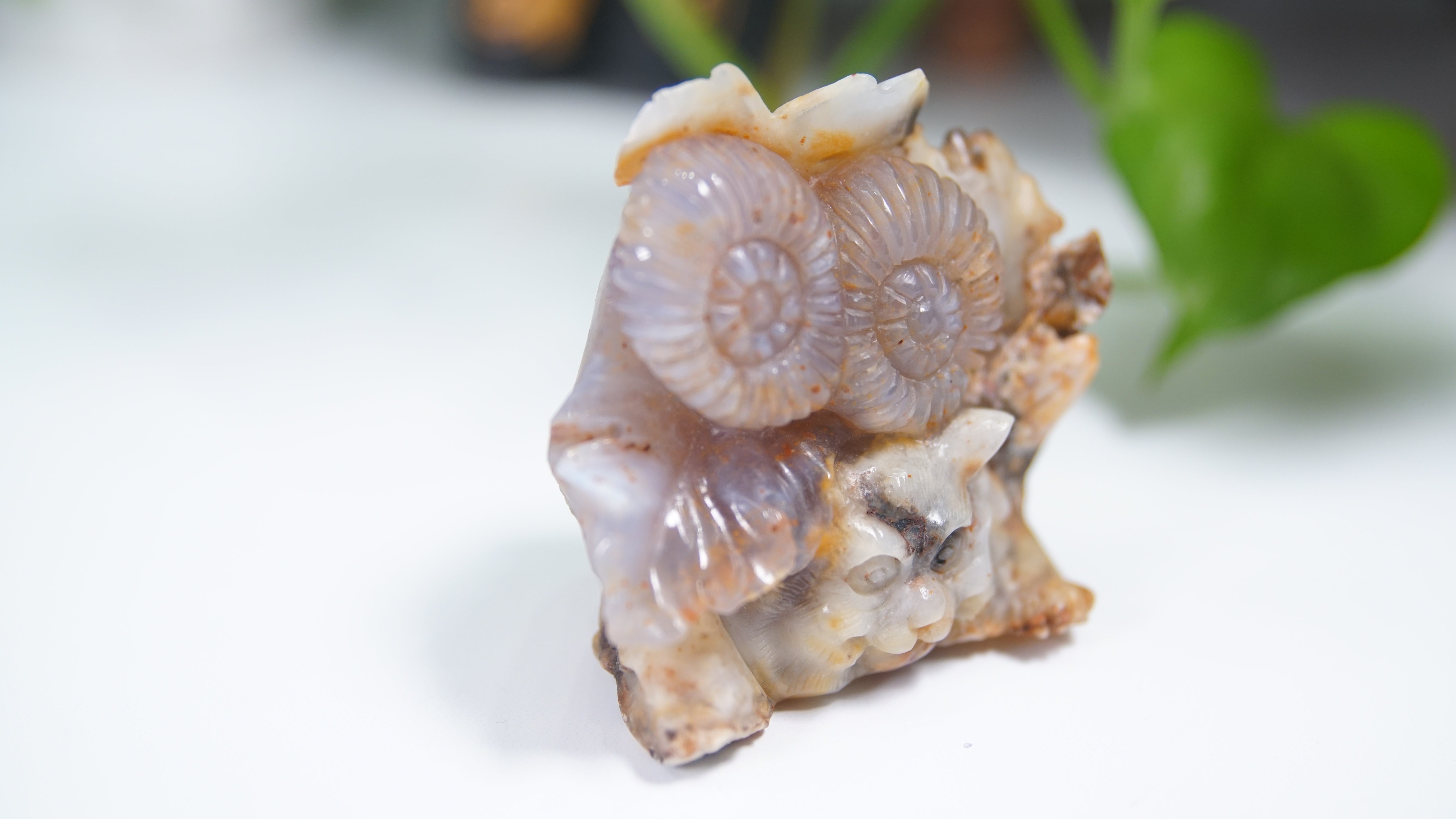 Master Carving - Blue Chalcedony Master Wu Carving - Playful Tiger