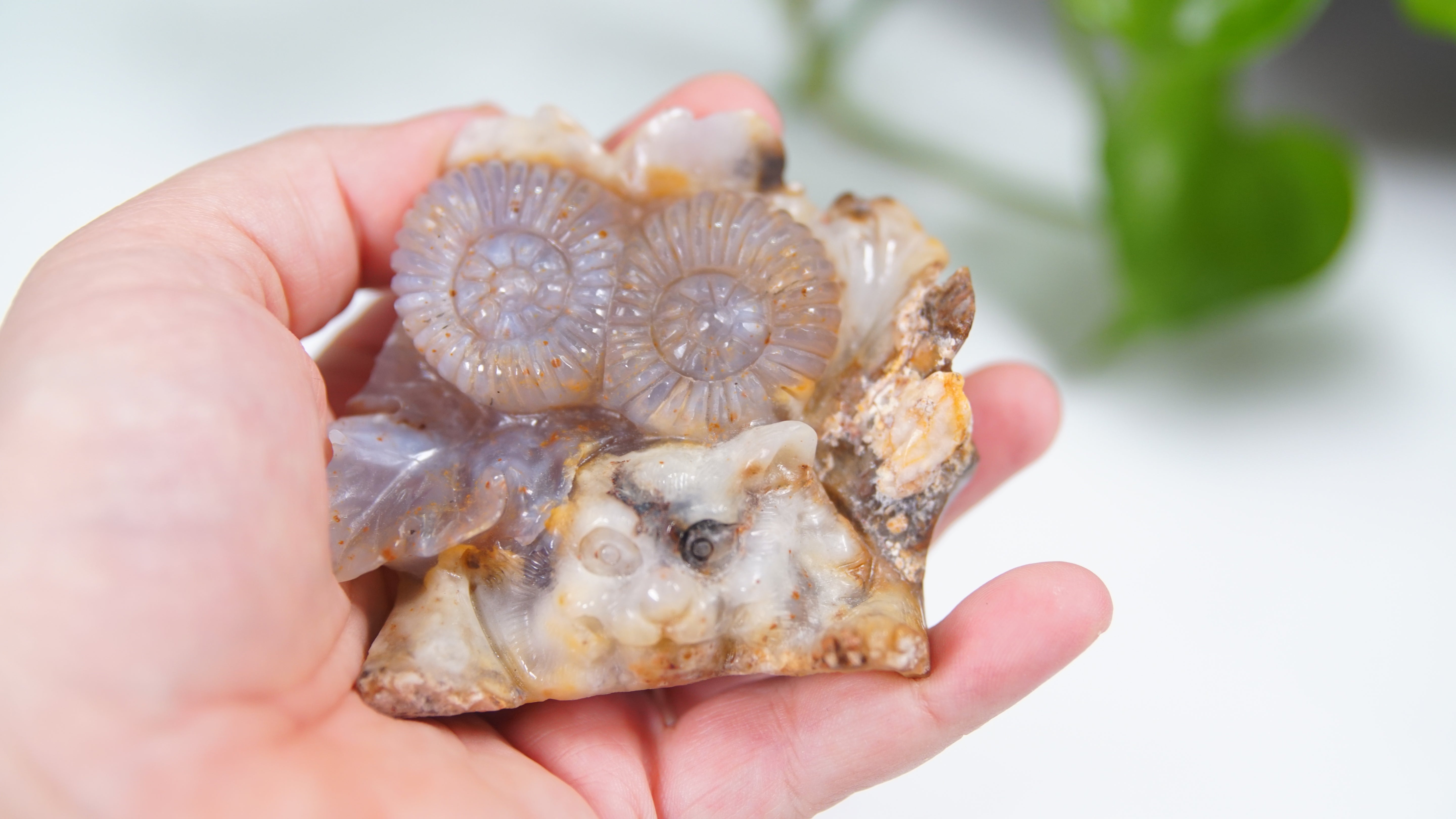 Master Carving - Blue Chalcedony Master Wu Carving - Playful Tiger