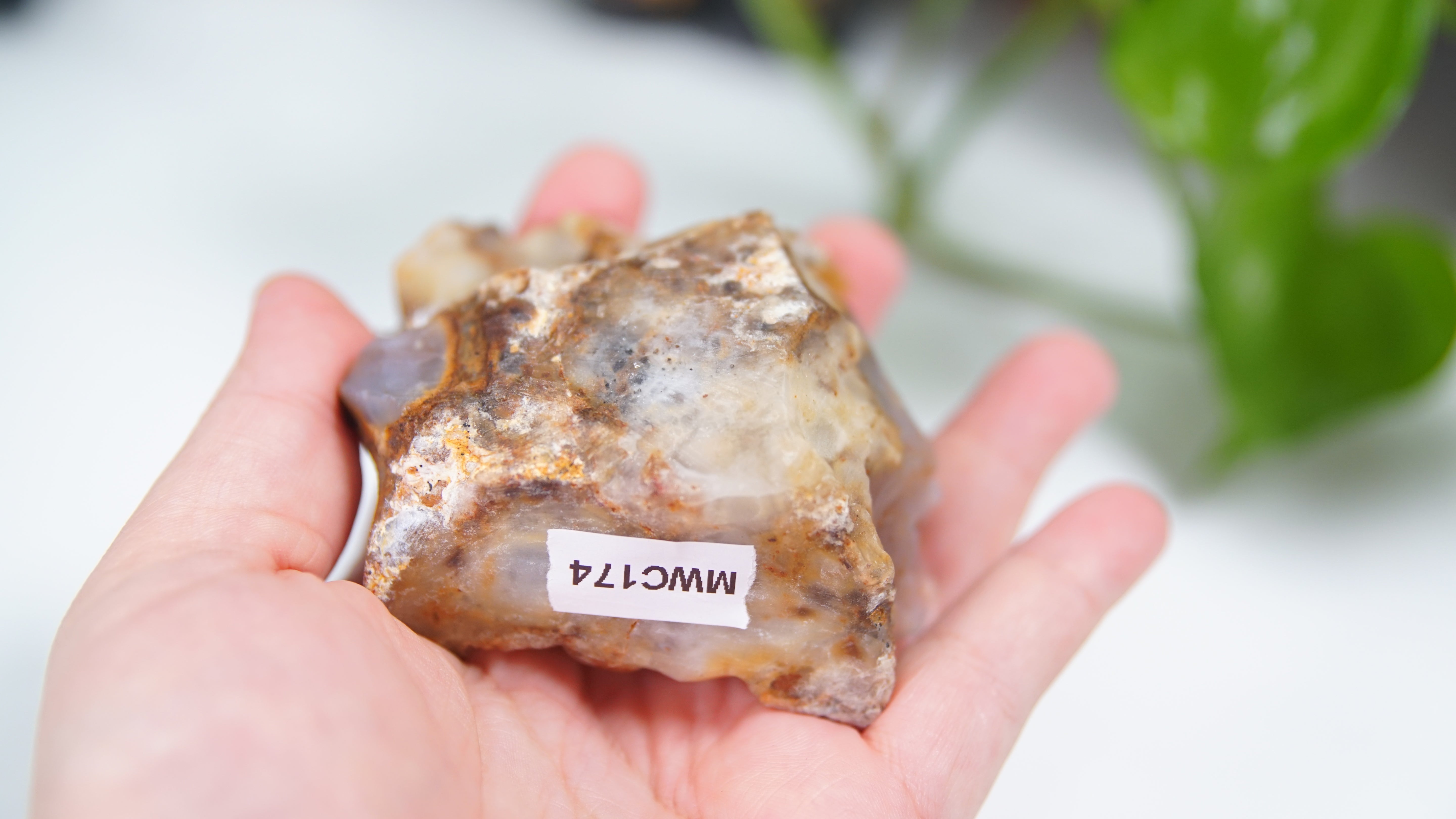 Master Carving - Blue Chalcedony Master Wu Carving - Playful Tiger