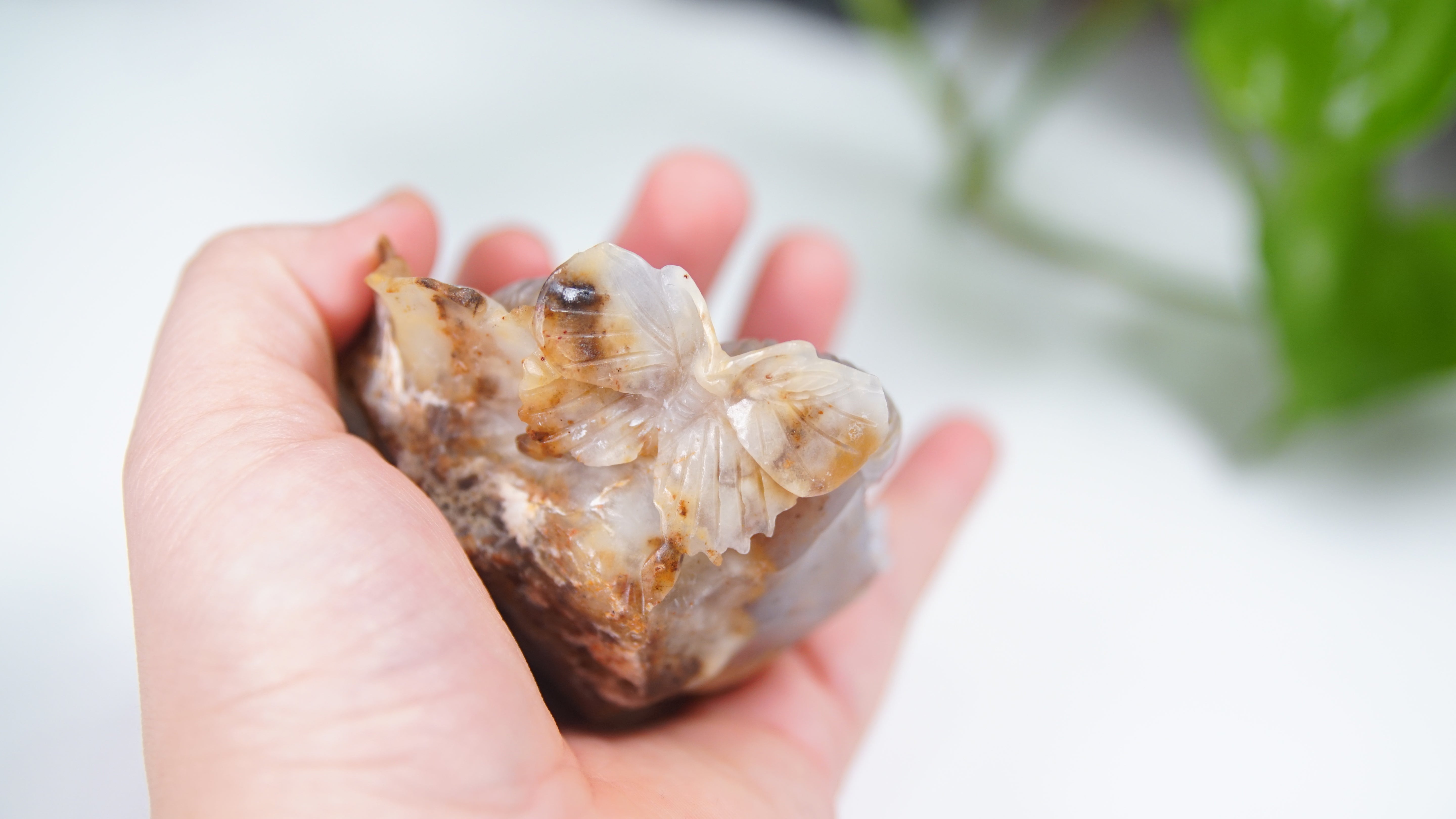 Master Carving - Blue Chalcedony Master Wu Carving - Playful Tiger