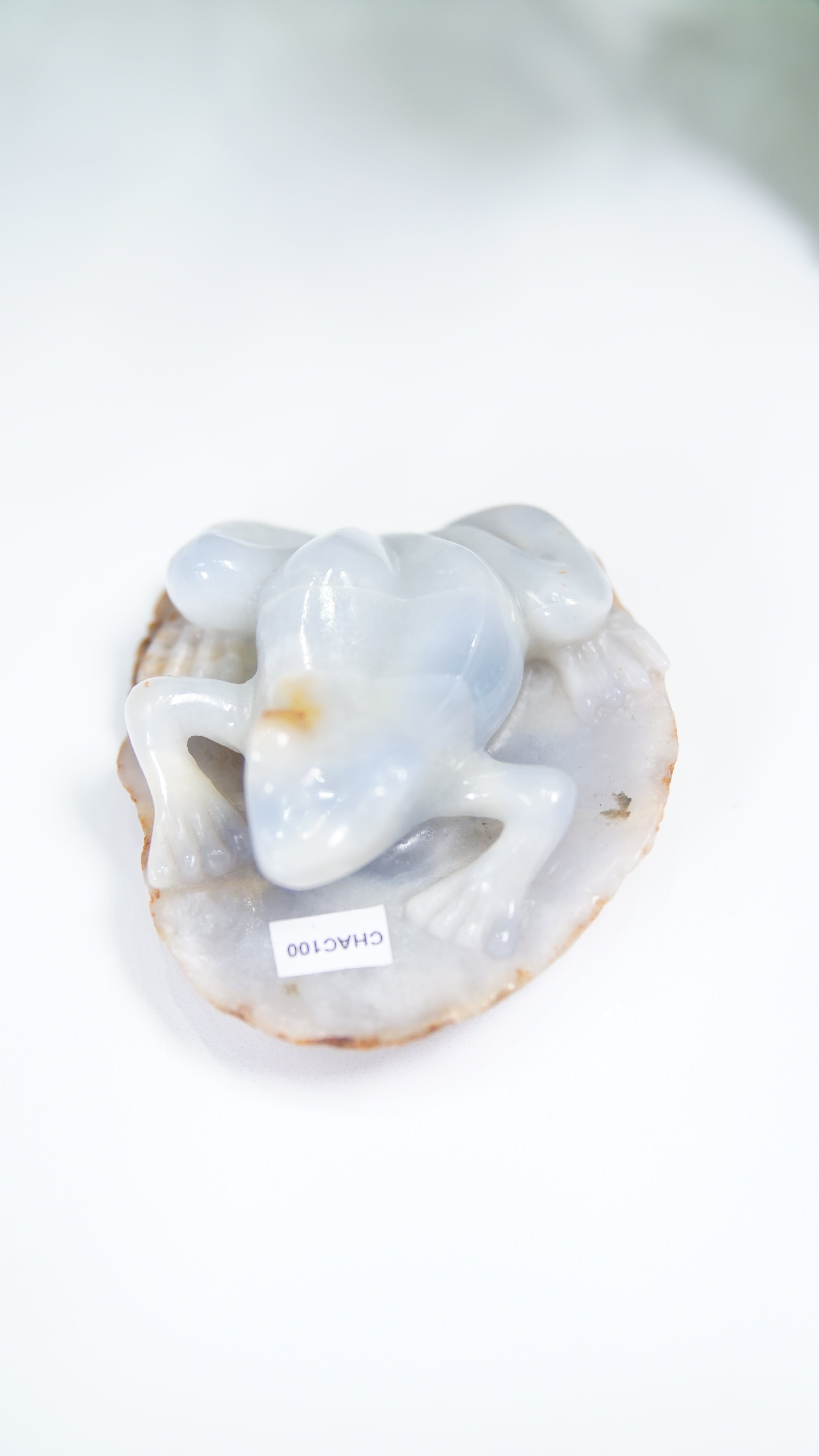 Master Carving - Blue Chalcedony Master Wu Carving - Frog On Lilypad