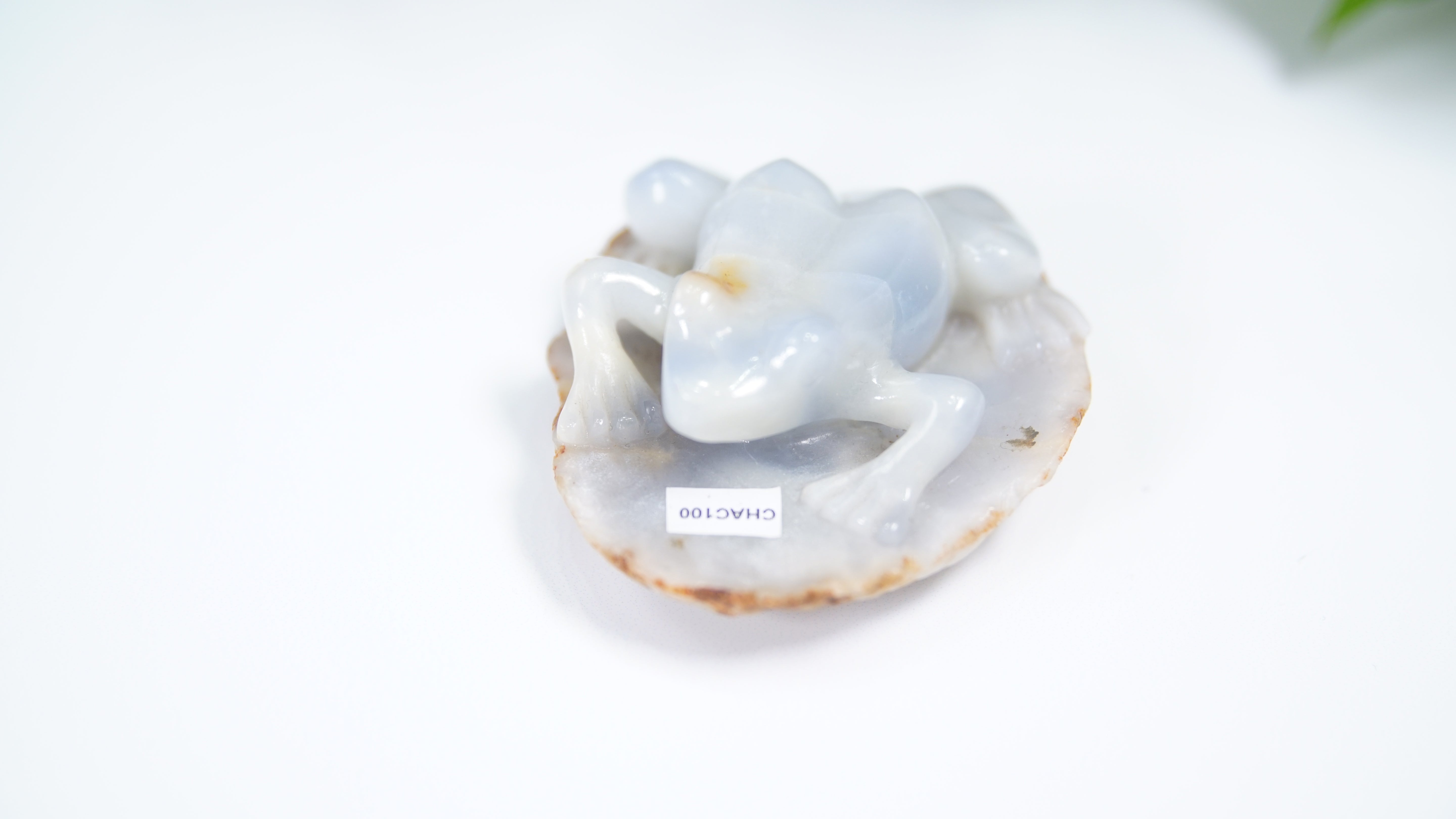 Master Carving - Blue Chalcedony Master Wu Carving - Frog On Lilypad