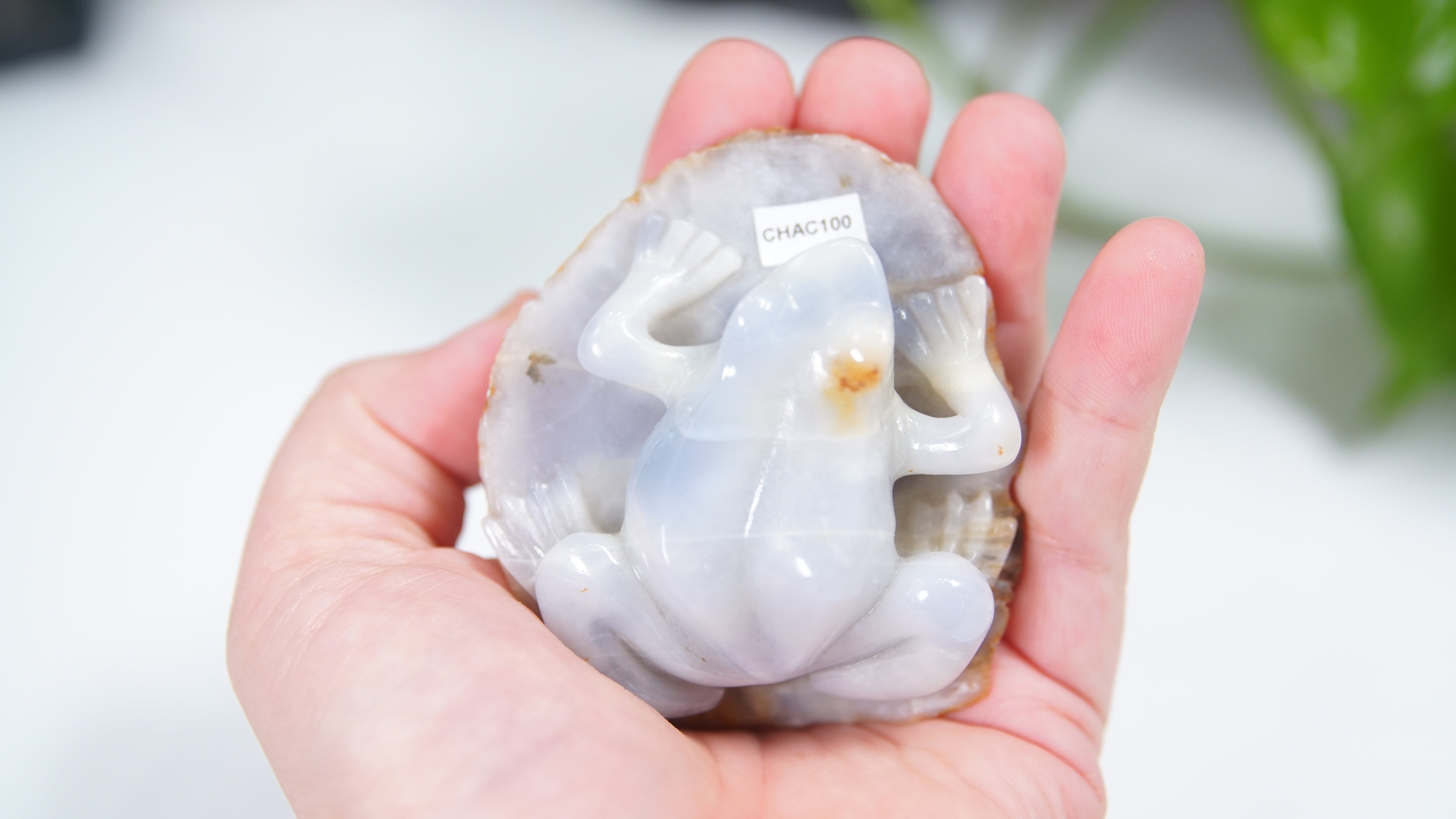 Master Carving - Blue Chalcedony Master Wu Carving - Frog On Lilypad