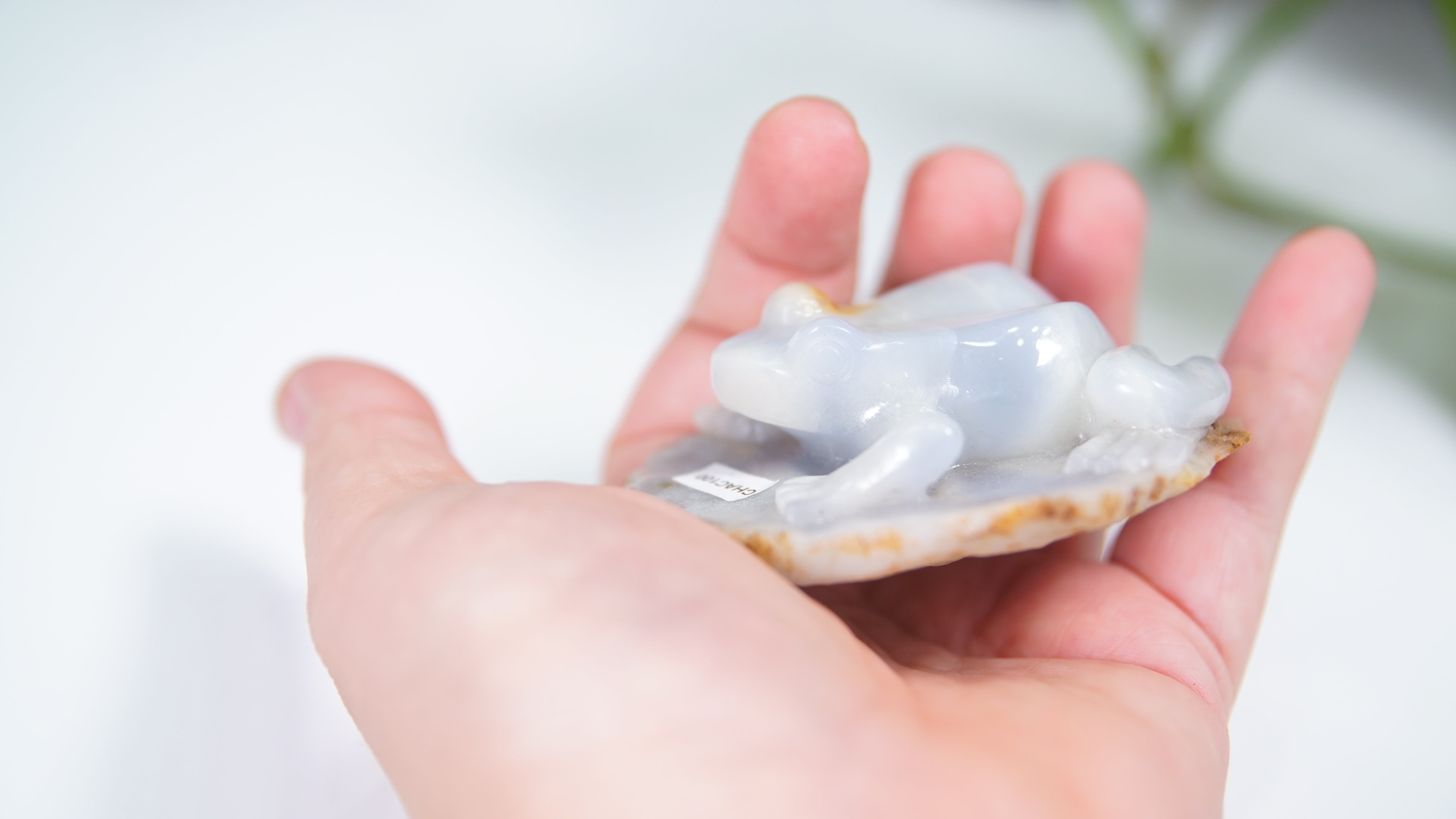 Master Carving - Blue Chalcedony Master Wu Carving - Frog On Lilypad