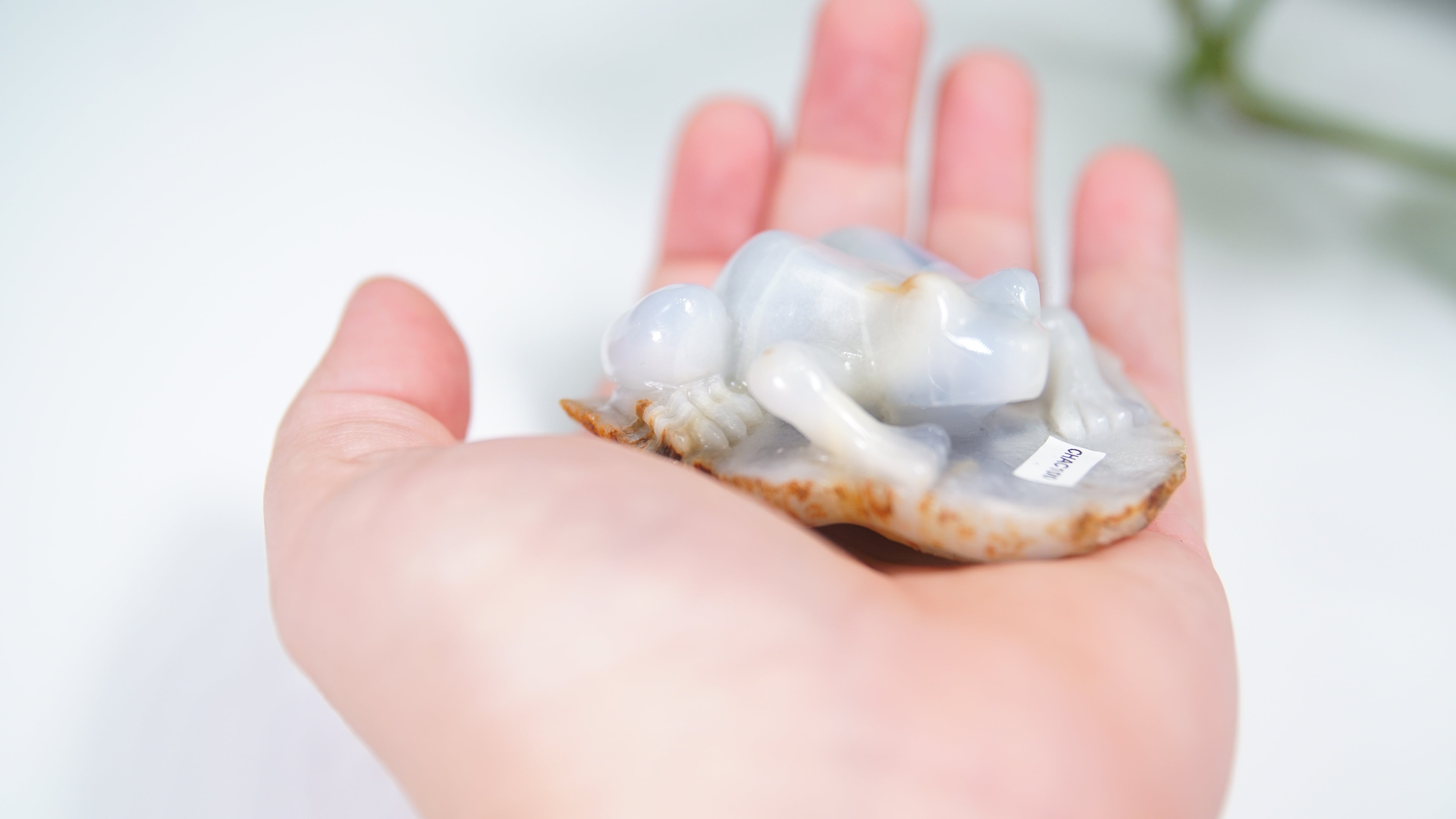 Master Carving - Blue Chalcedony Master Wu Carving - Frog On Lilypad