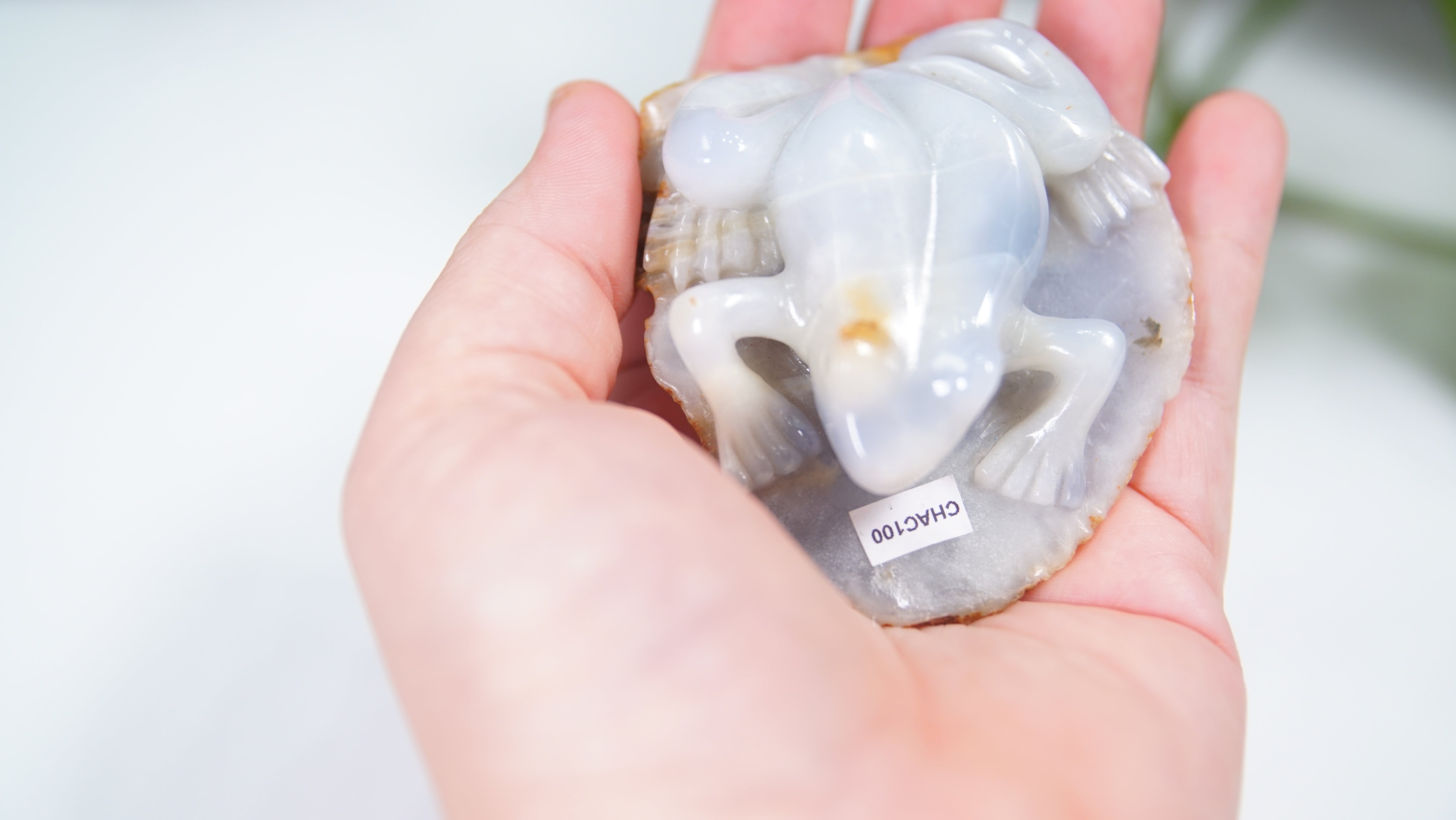 Master Carving - Blue Chalcedony Master Wu Carving - Frog On Lilypad