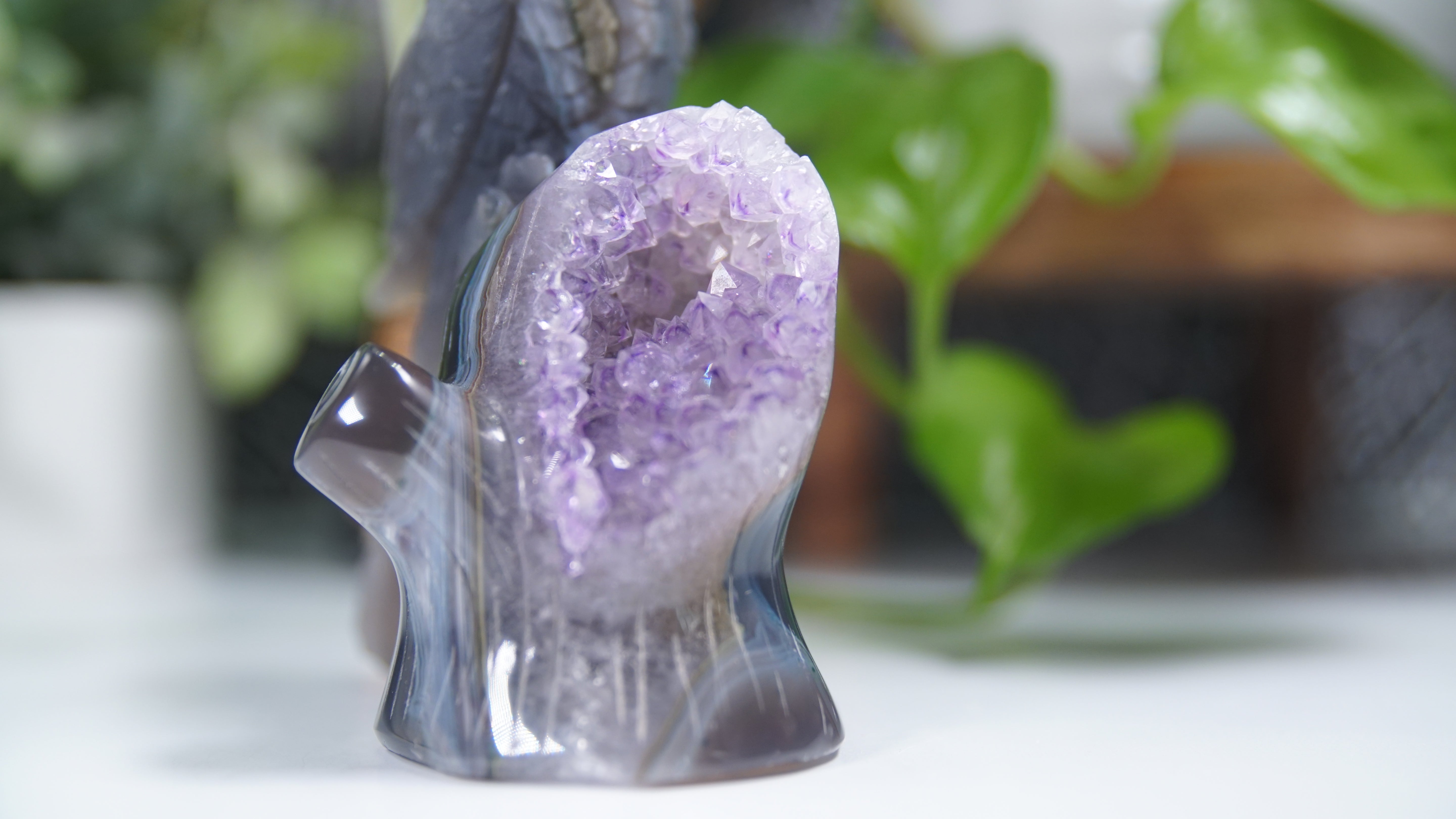 Master Carving Amethyst Agate Parrot on Branch