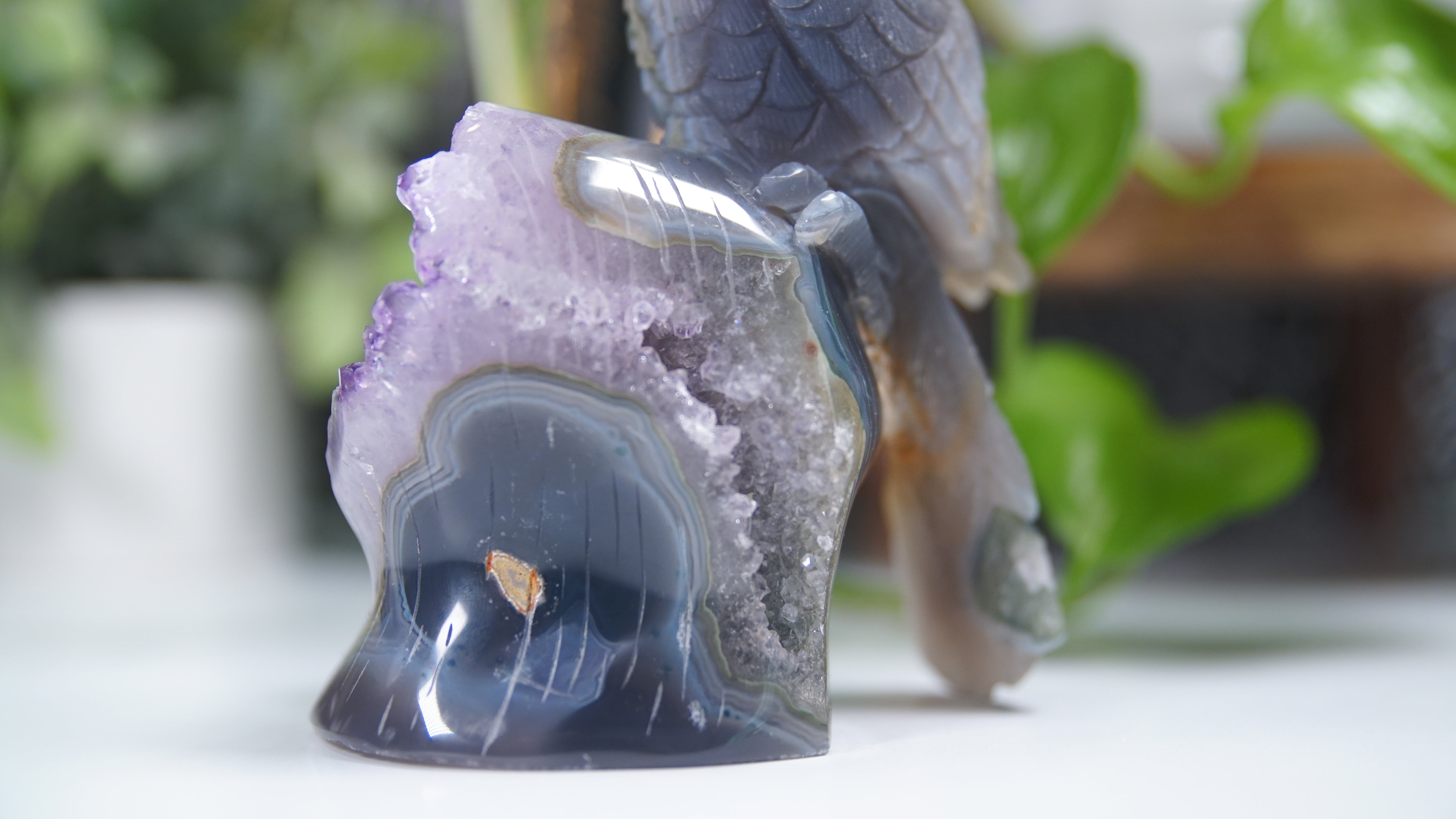 Master Carving Amethyst Agate Parrot on Branch