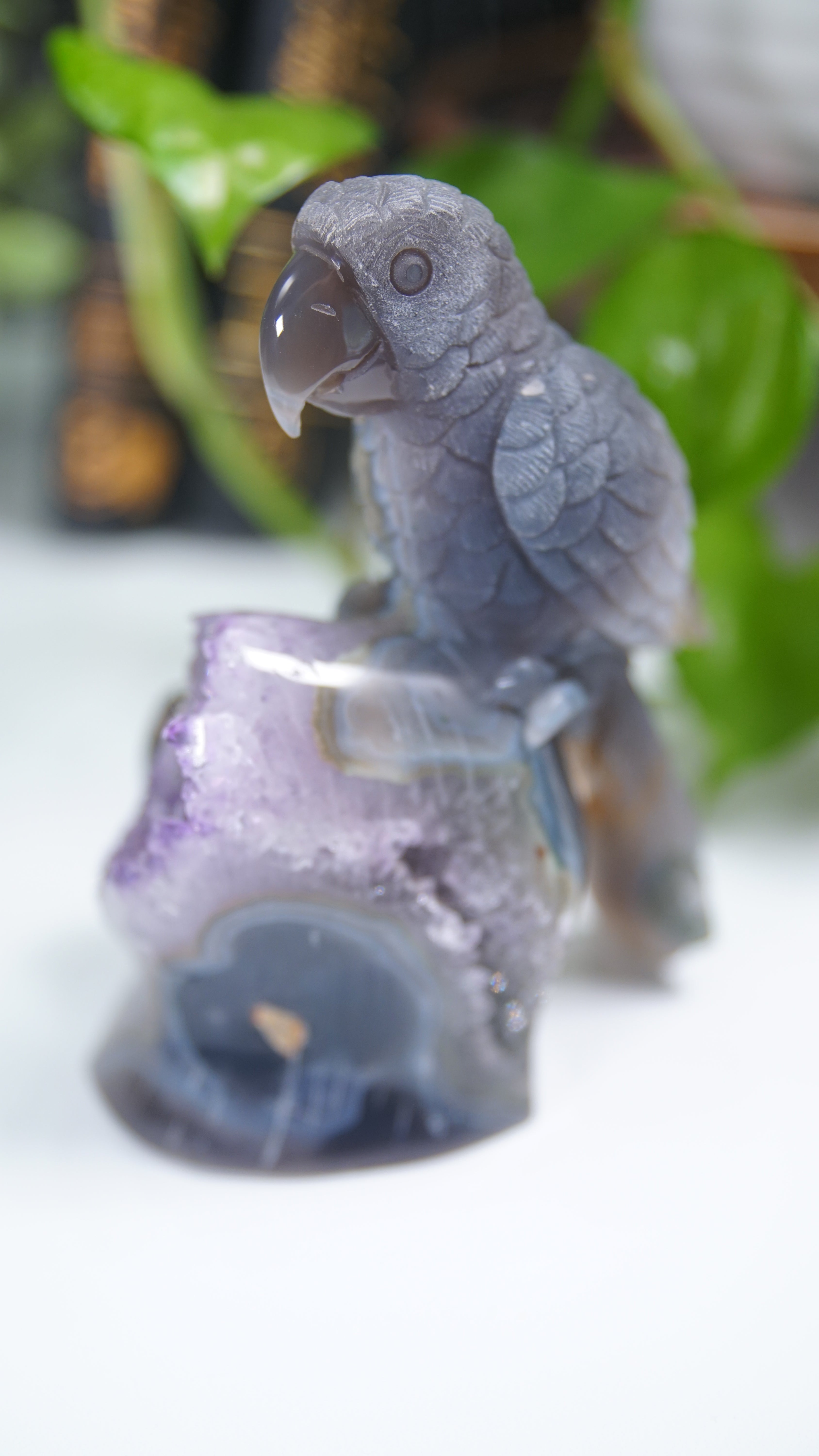 Master Carving Amethyst Agate Parrot on Branch