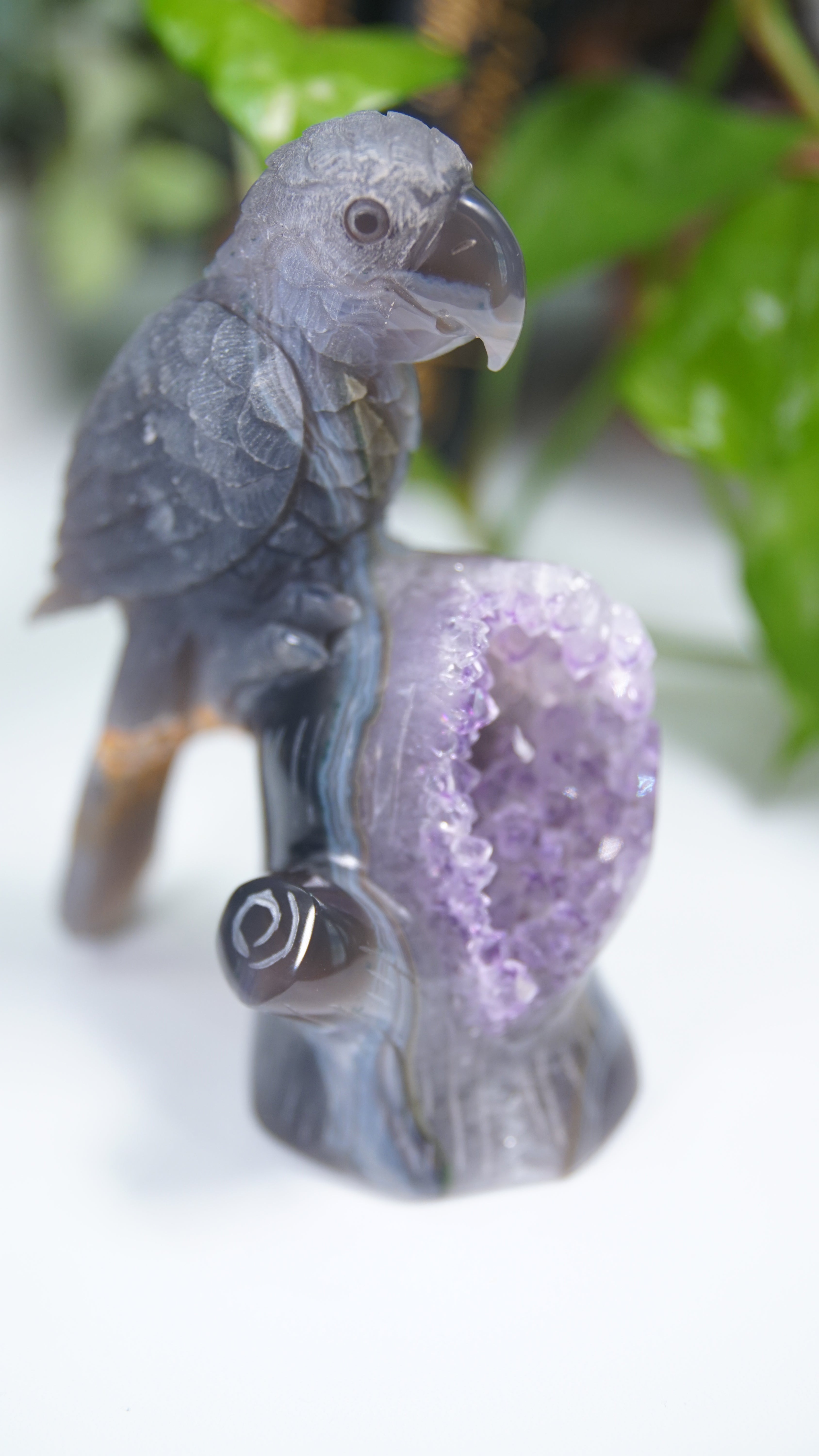Master Carving Amethyst Agate Parrot on Branch
