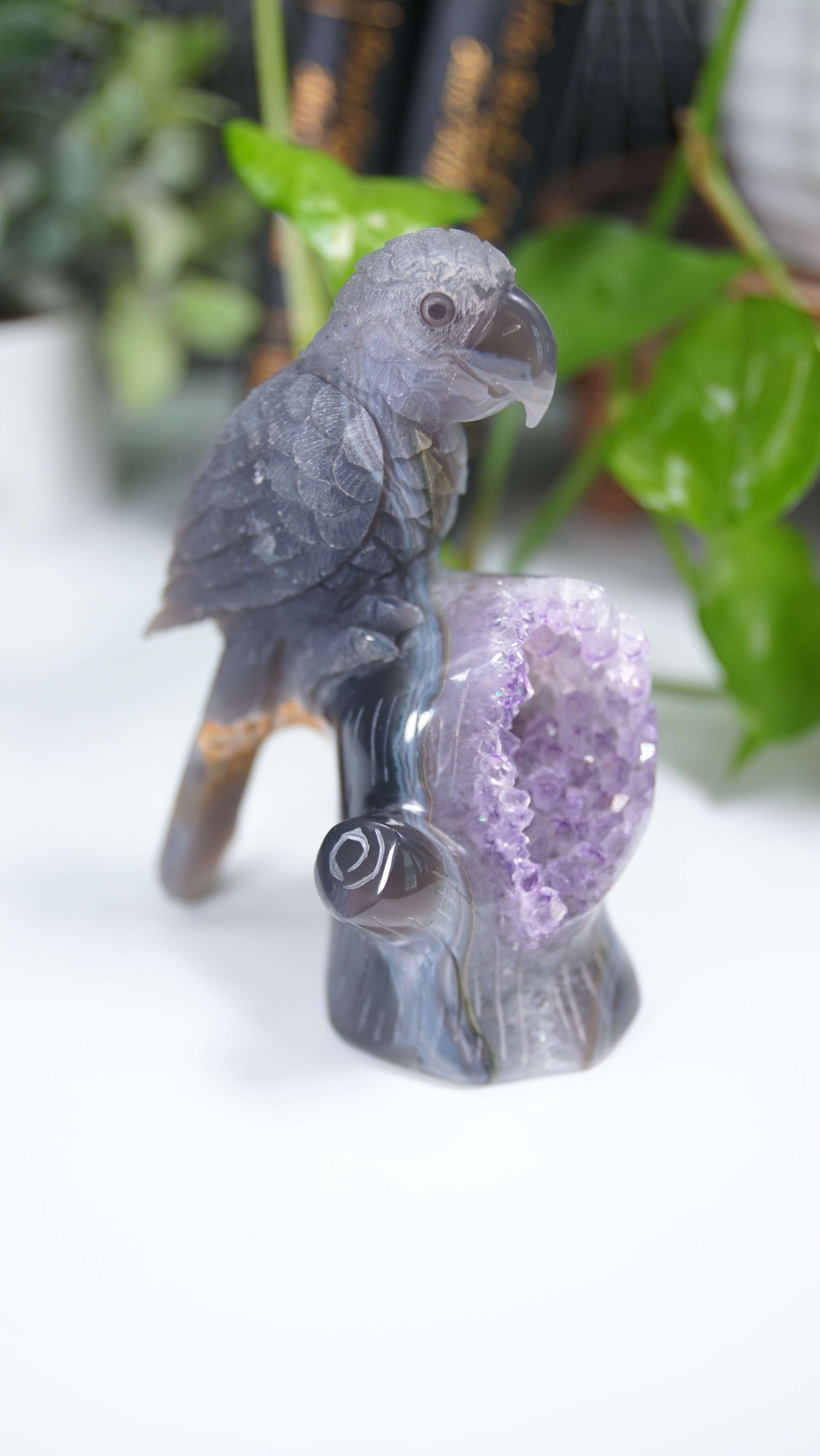 Master Carving Amethyst Agate Parrot on Branch
