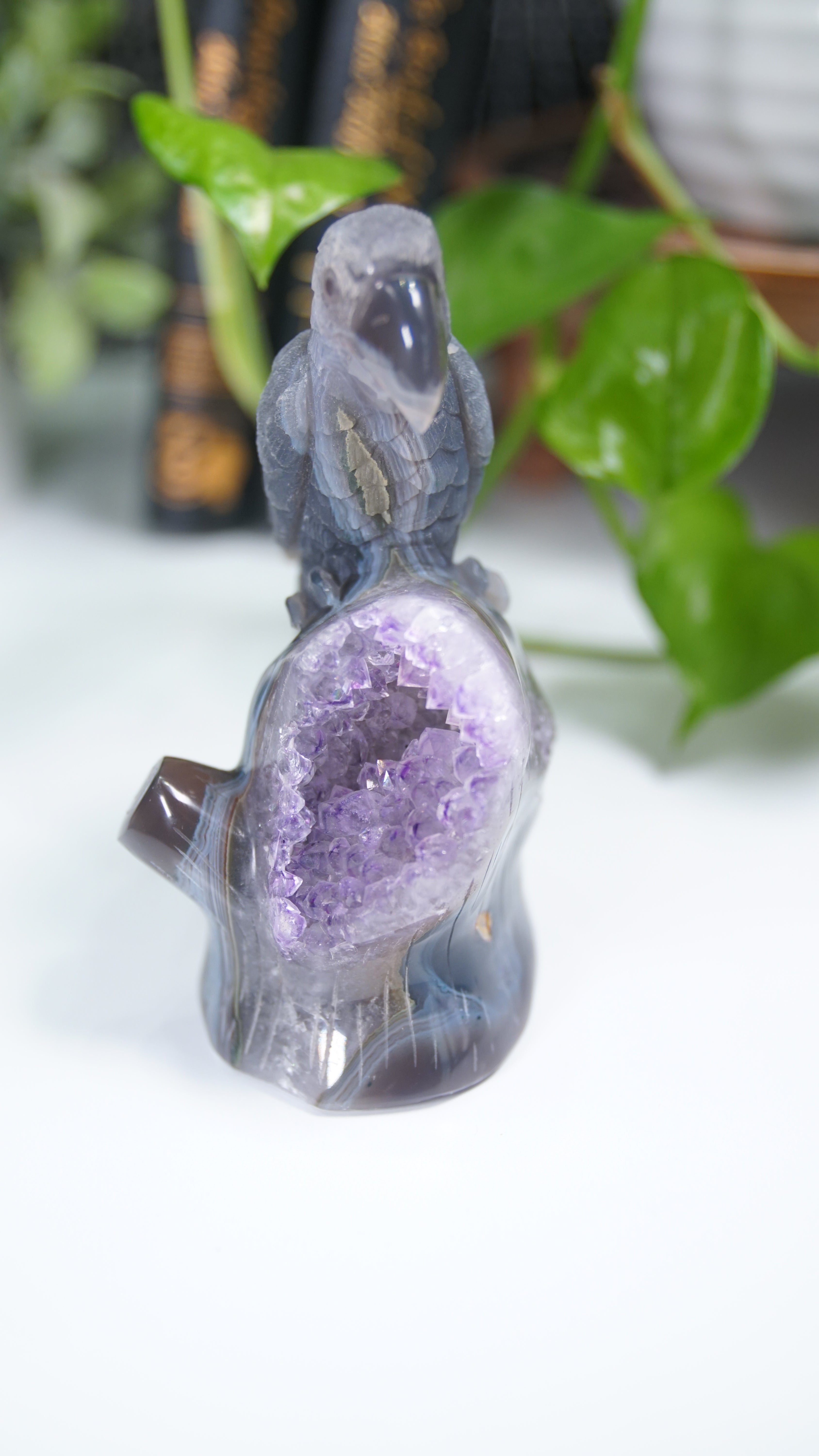 Master Carving Amethyst Agate Parrot on Branch