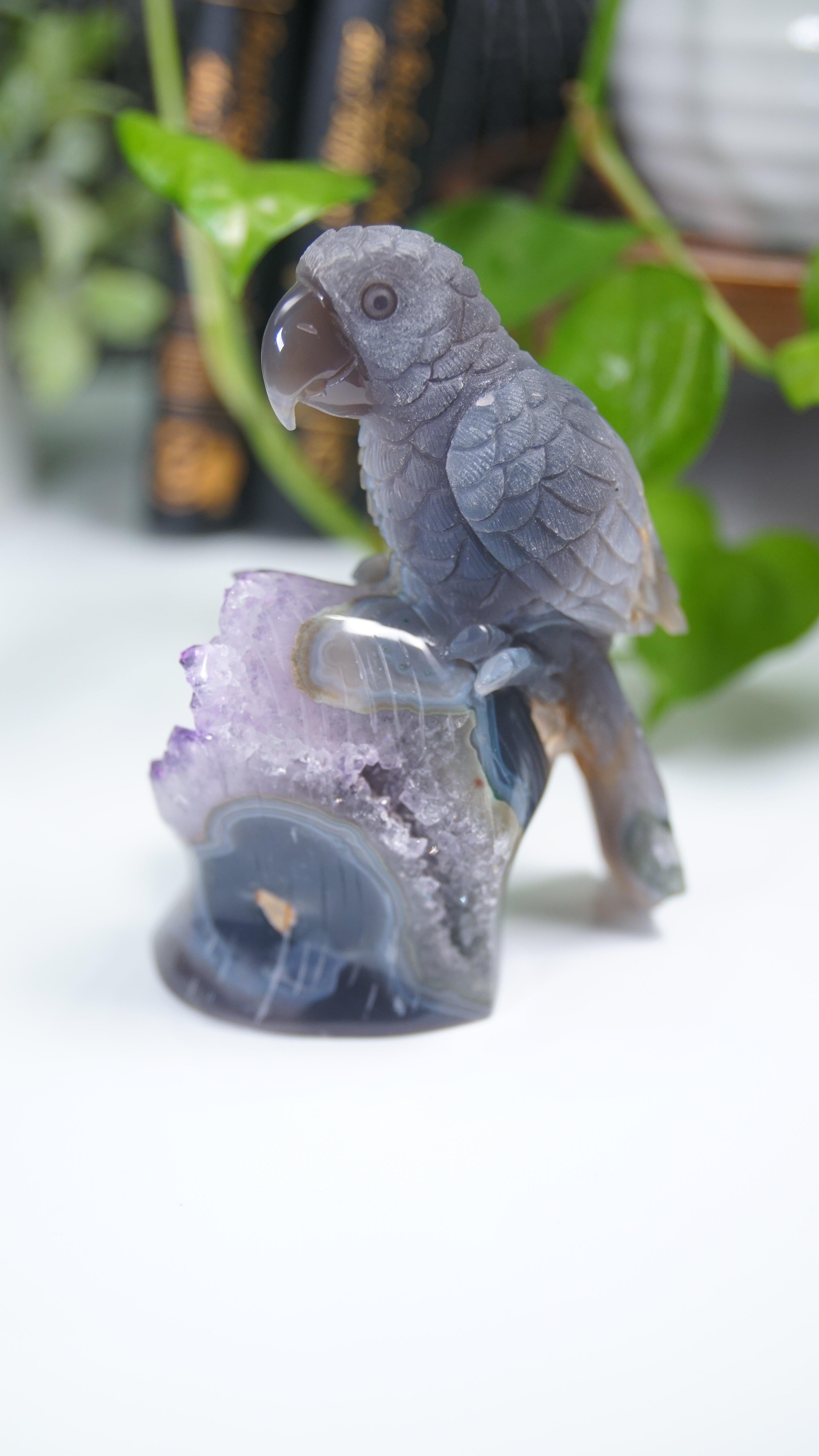 Master Carving Amethyst Agate Parrot on Branch