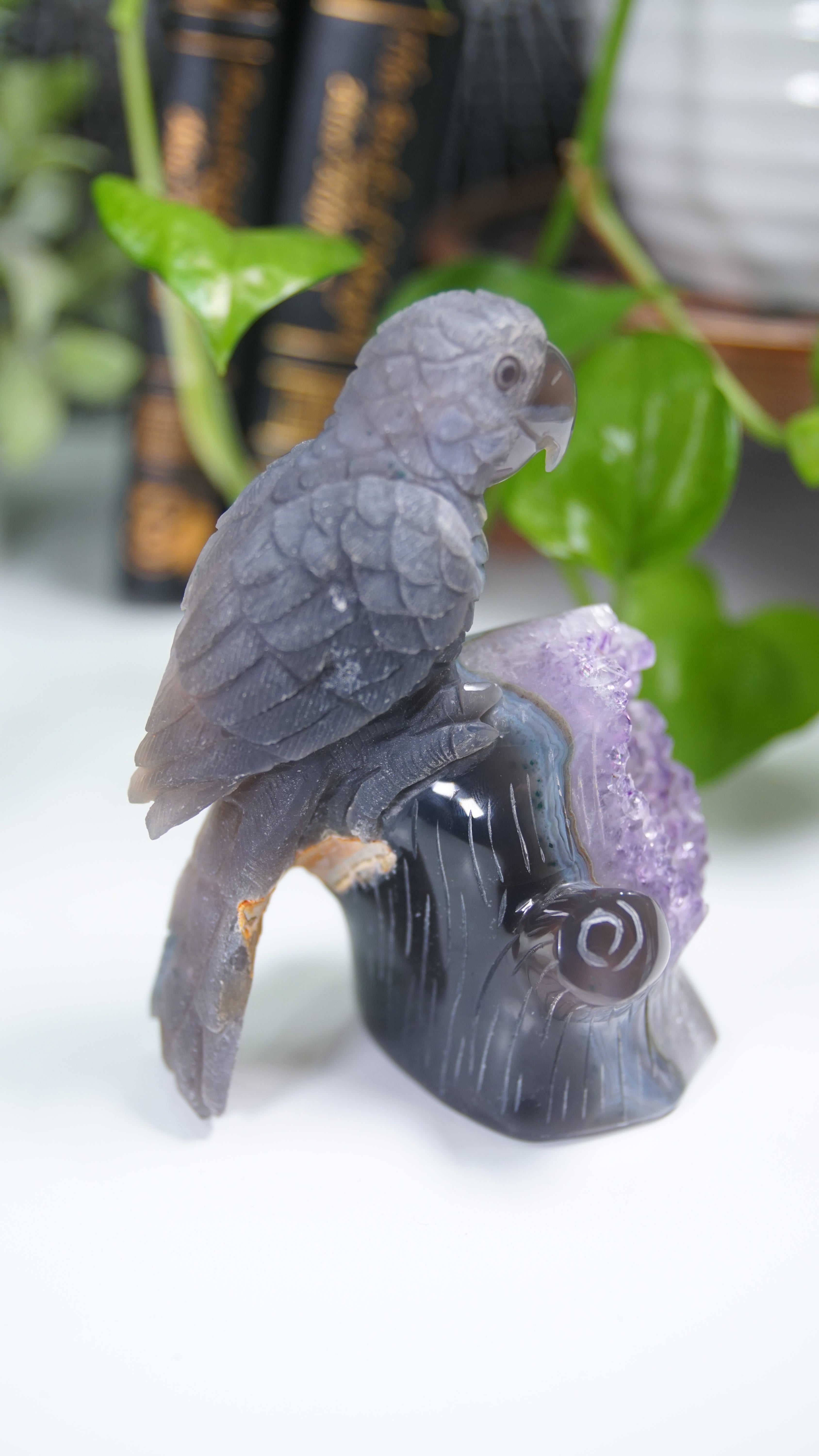 Master Carving Amethyst Agate Parrot on Branch