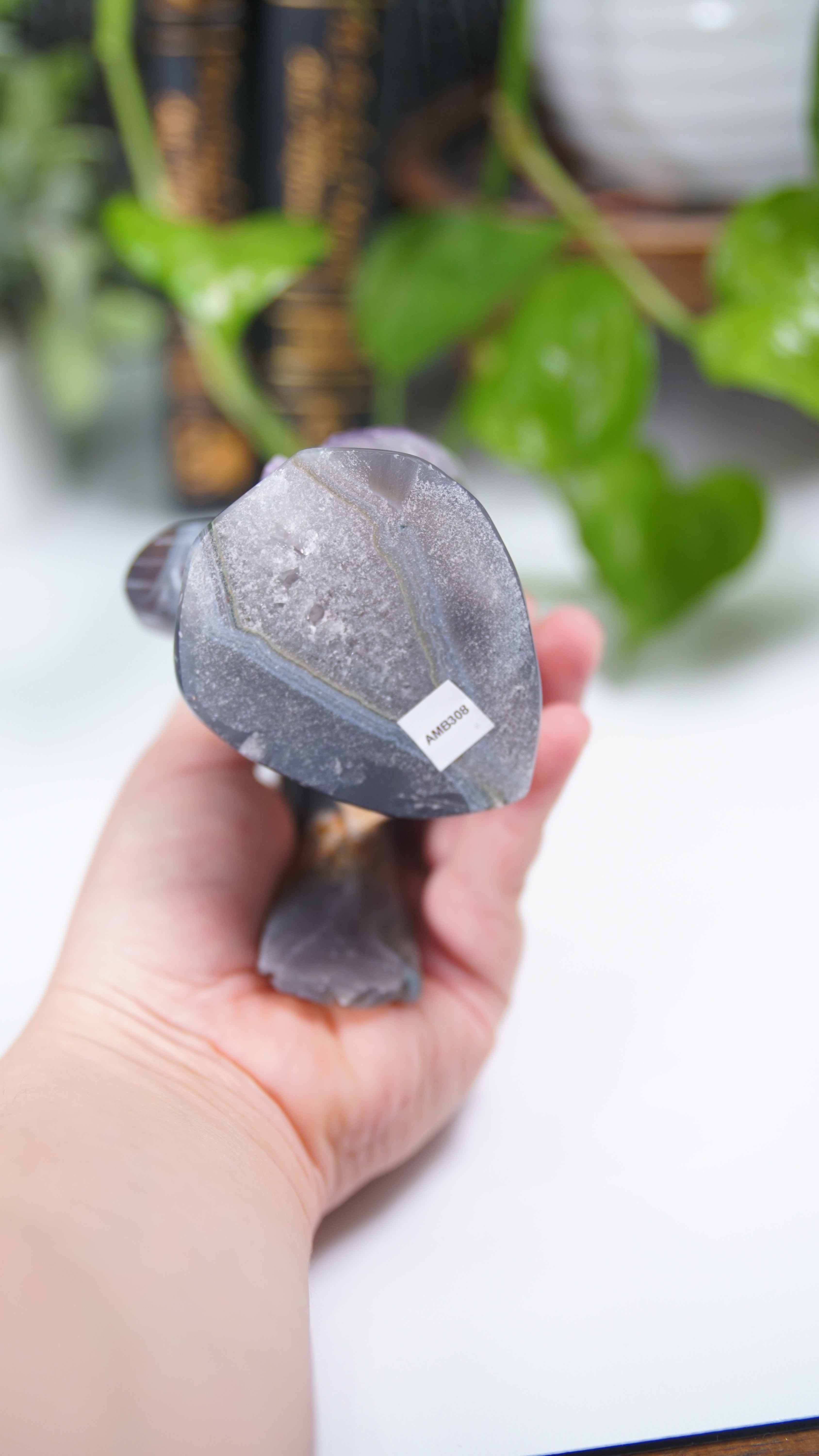 Master Carving Amethyst Agate Parrot on Branch