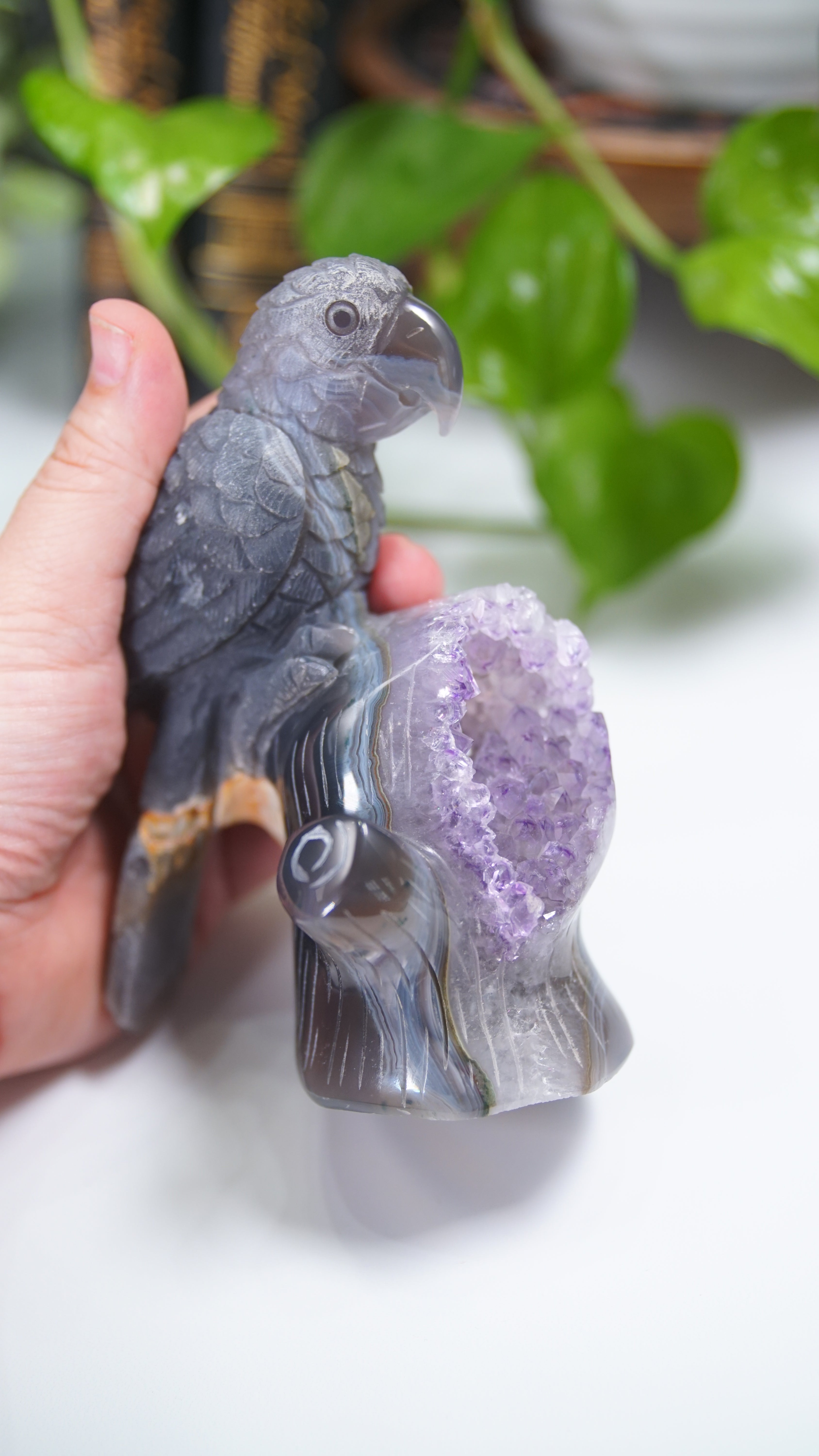 Master Carving Amethyst Agate Parrot on Branch