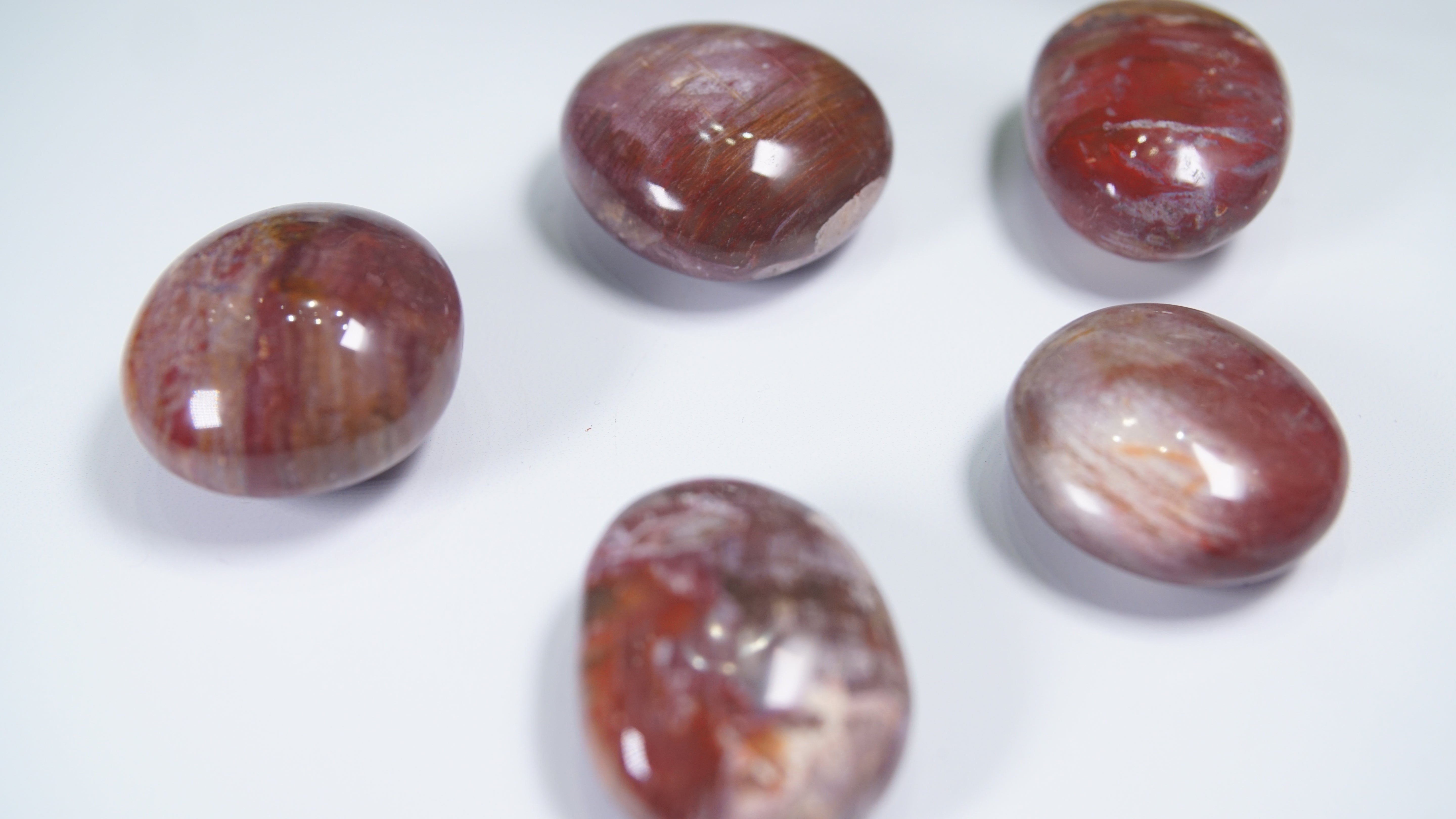 Pink & Red Petrified Wood Palm Stones - Intuitively Selected