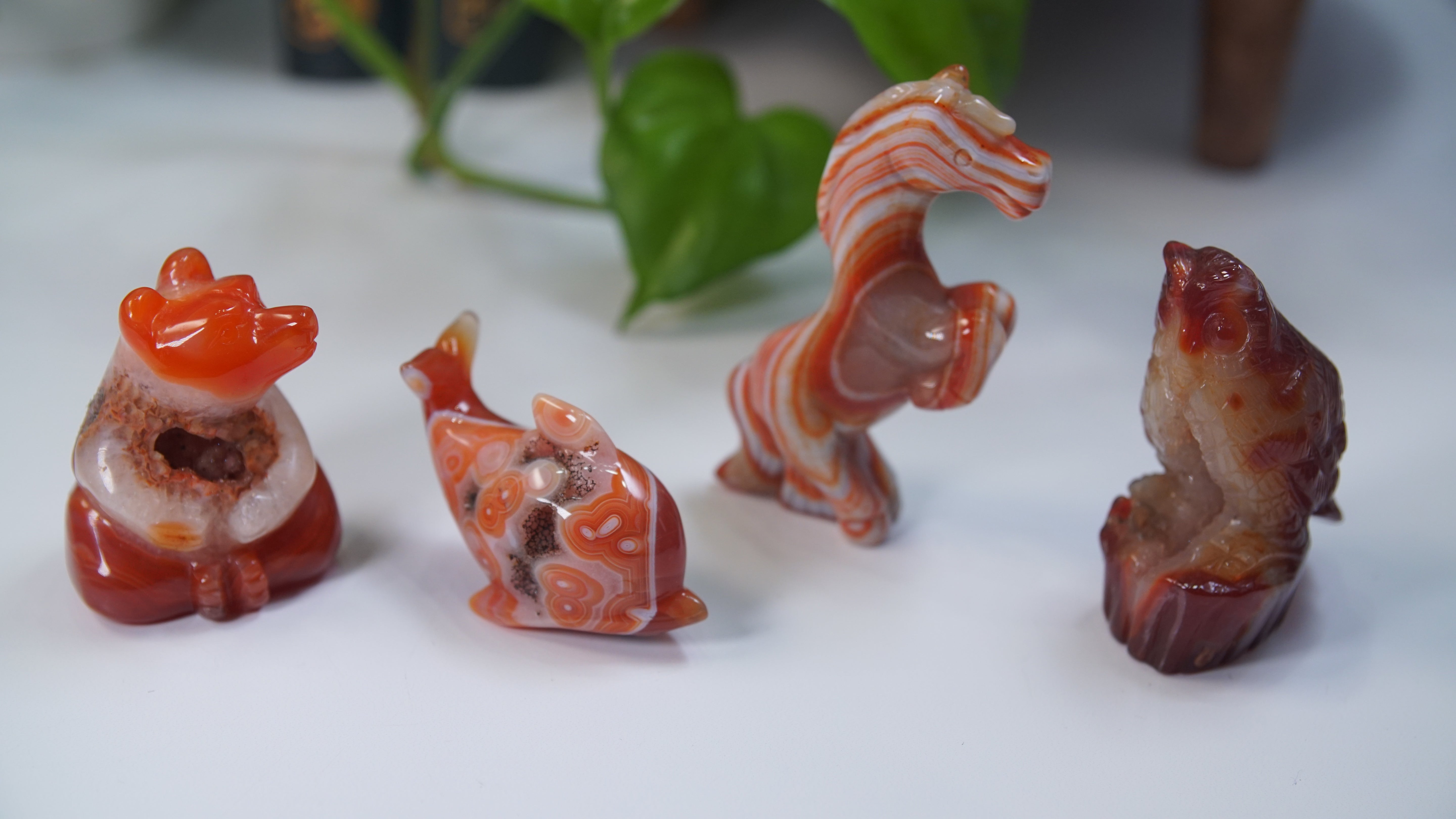 Druzy Carnelian Boutique Carvings