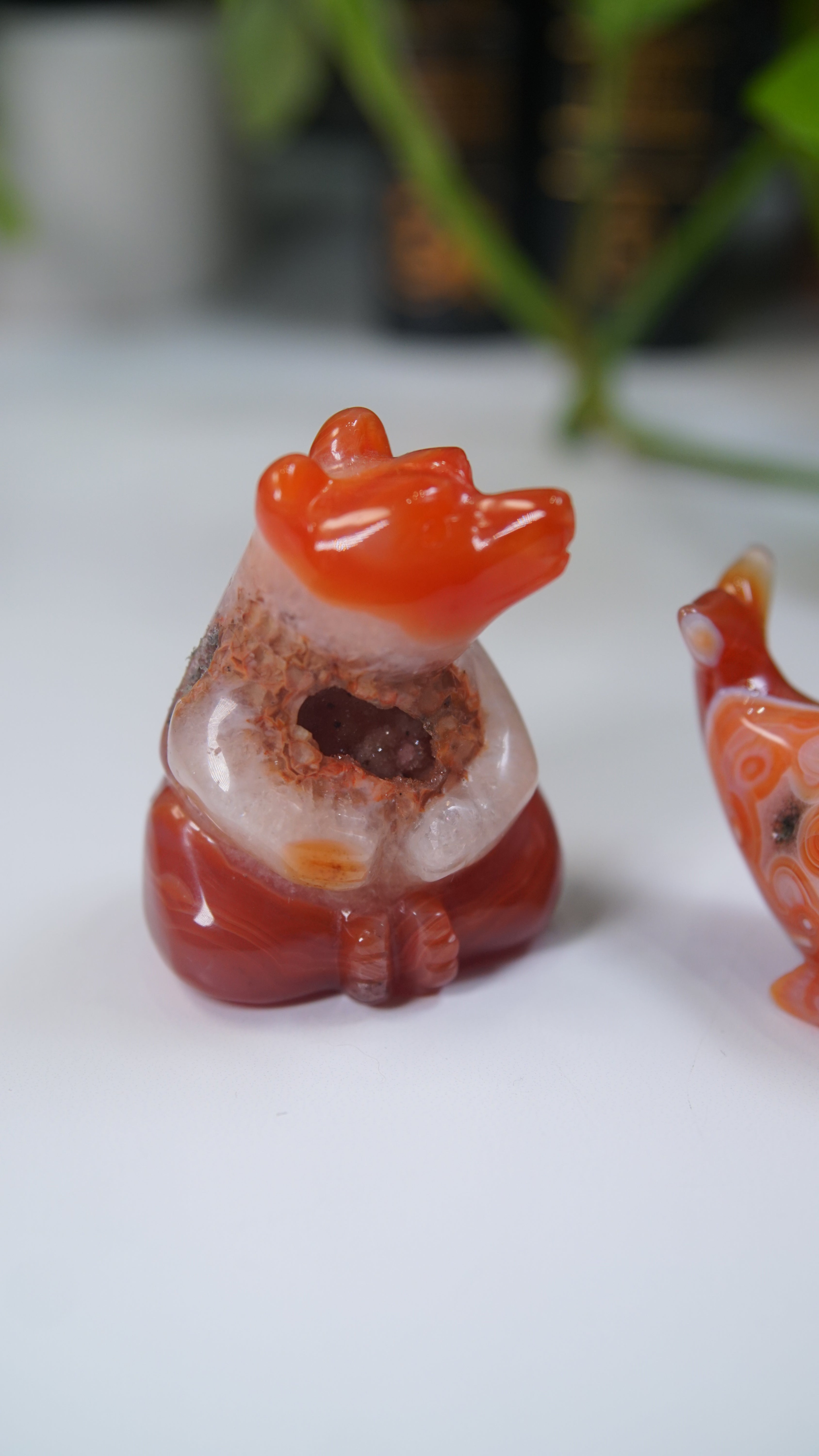 Druzy Carnelian Boutique Carvings