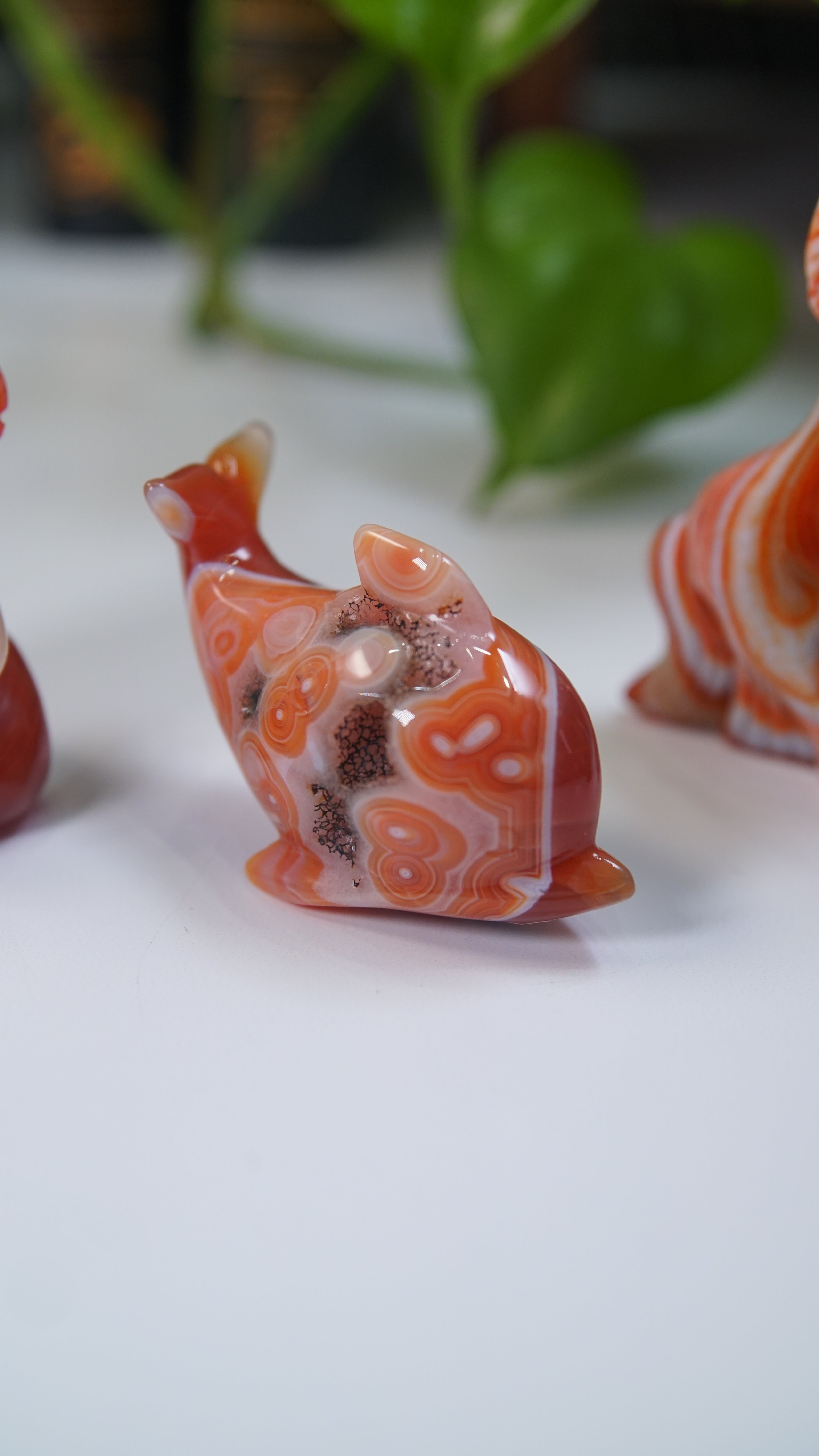 Druzy Carnelian Boutique Carvings