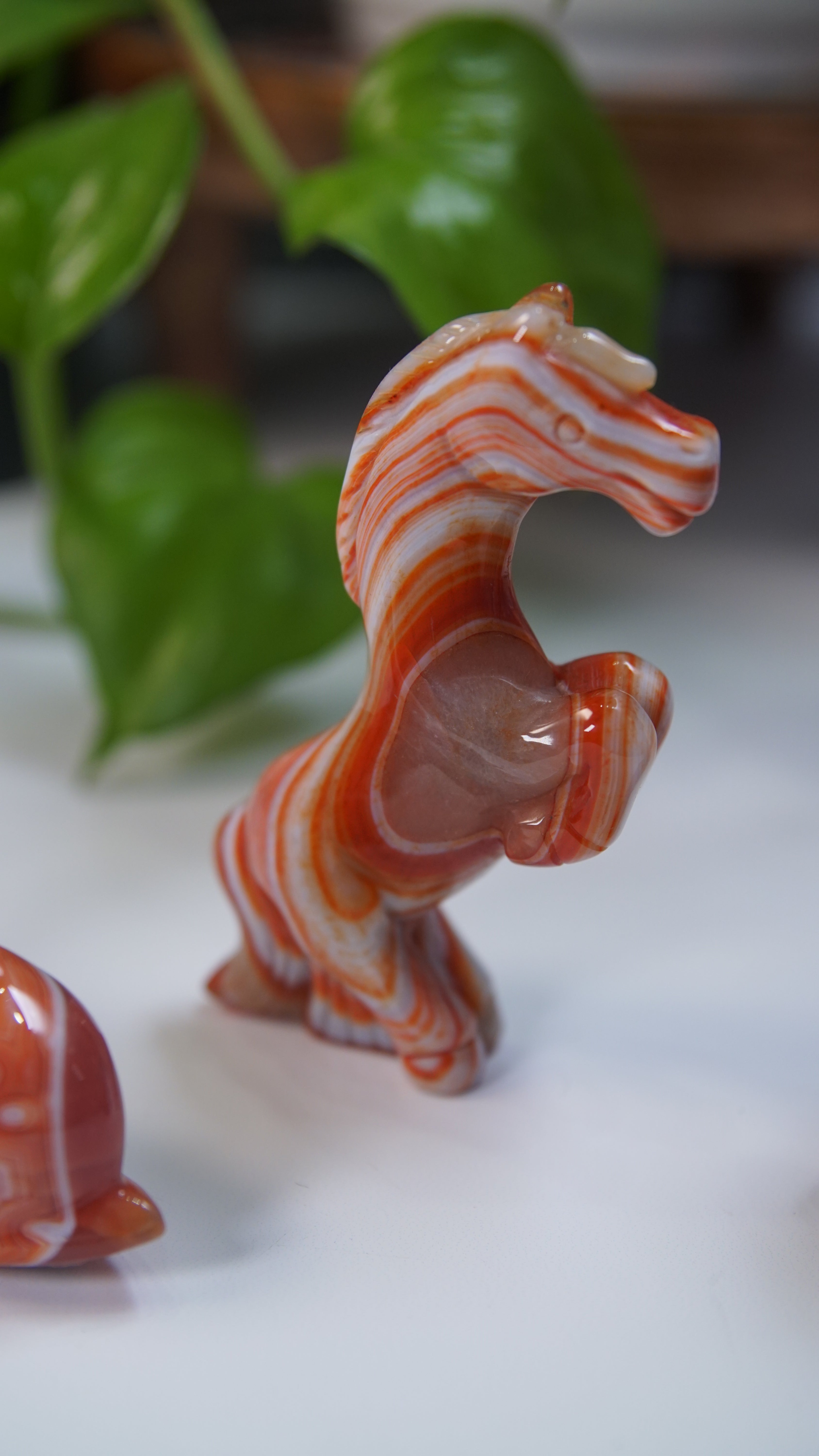 Druzy Carnelian Boutique Carvings