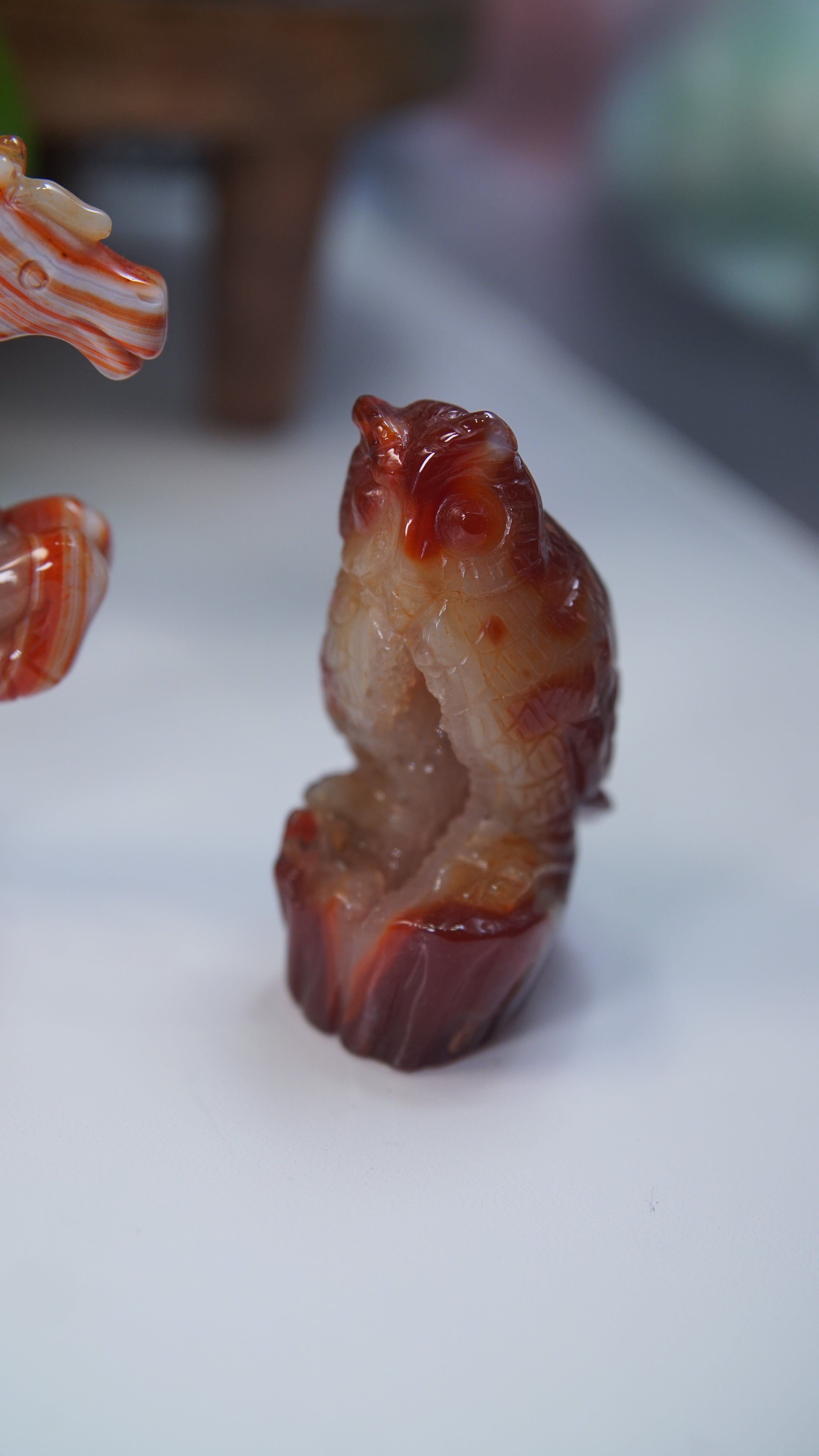 Druzy Carnelian Boutique Carvings