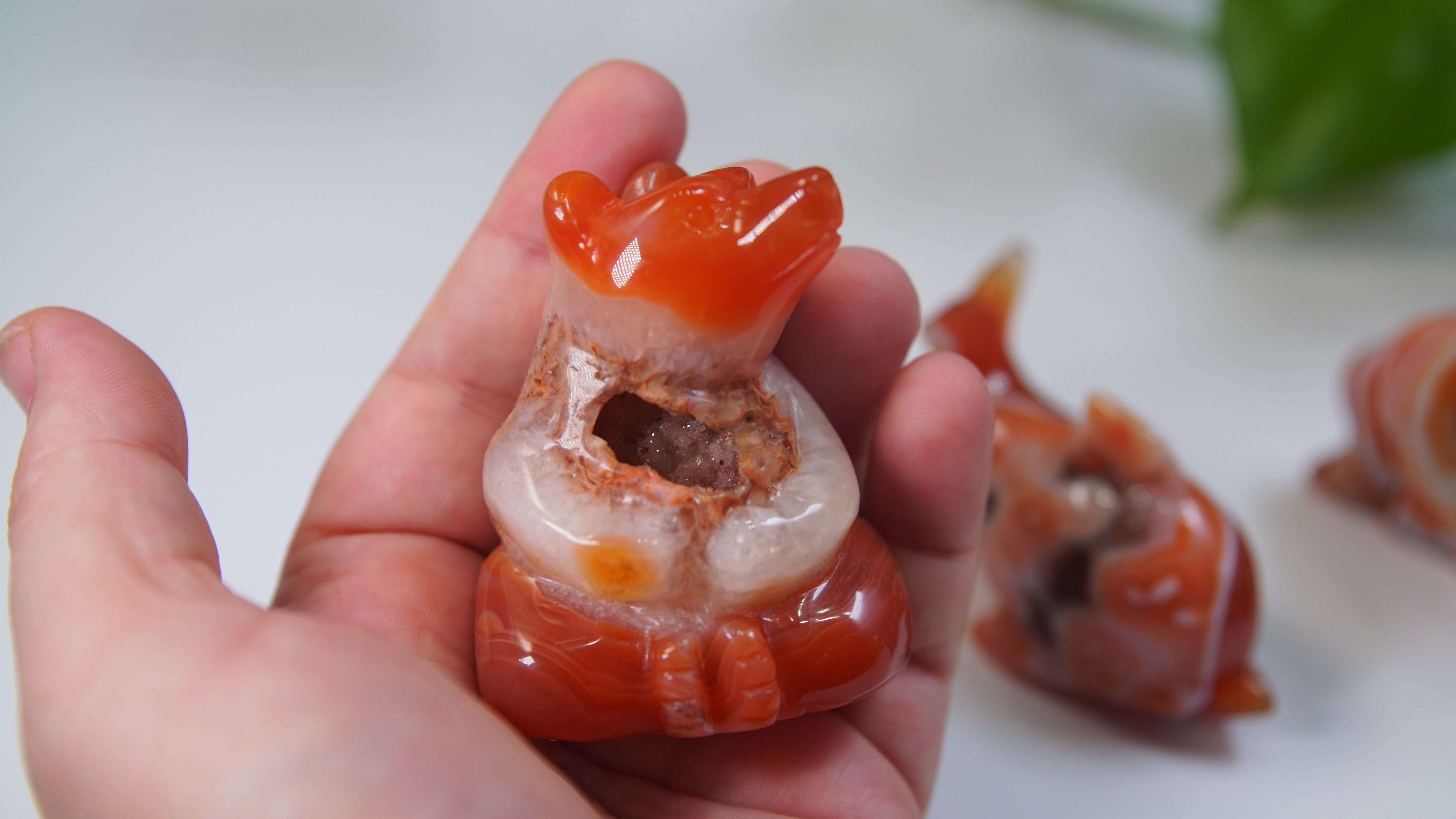 Druzy Carnelian Boutique Carvings