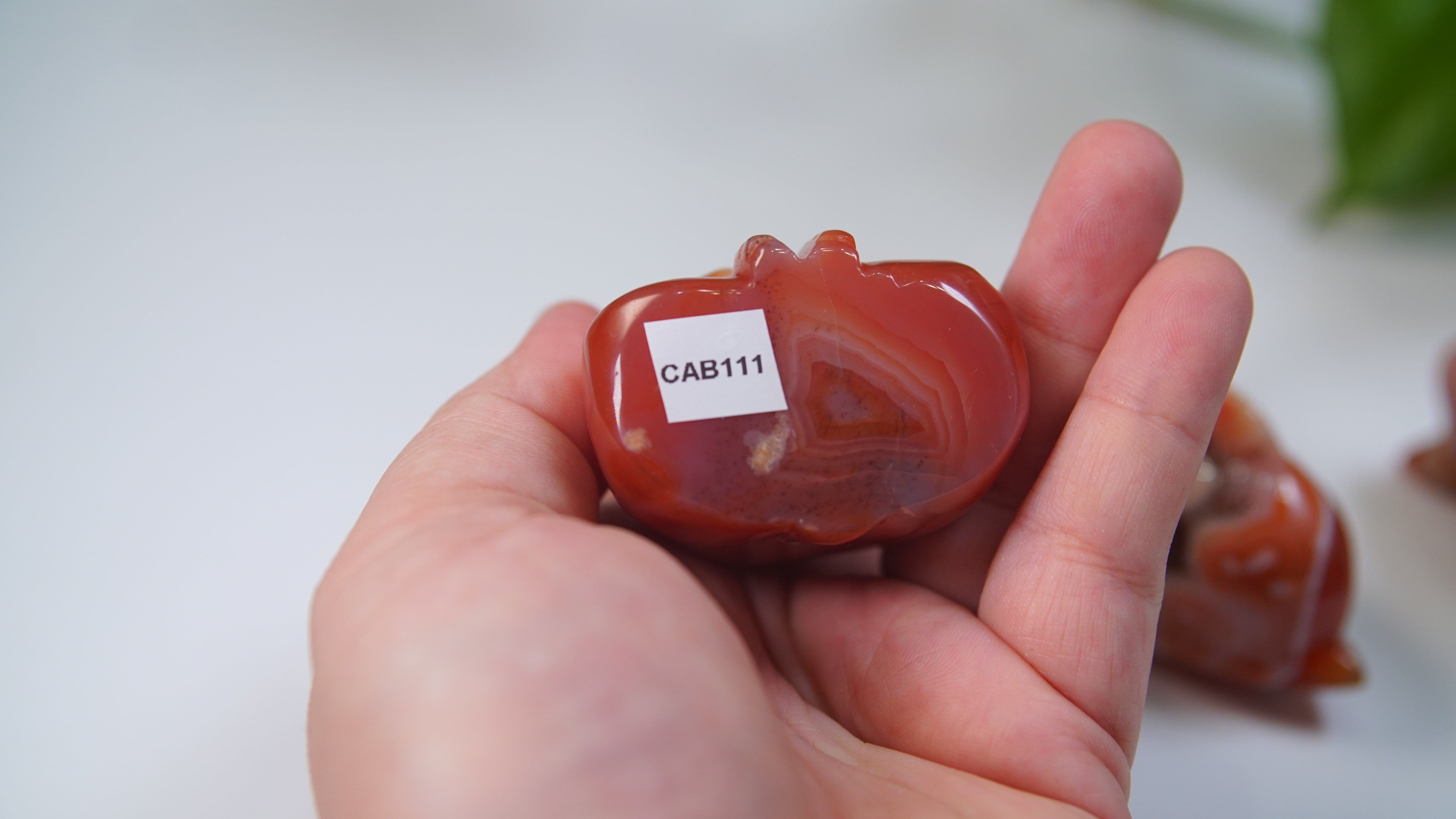 Druzy Carnelian Boutique Carvings