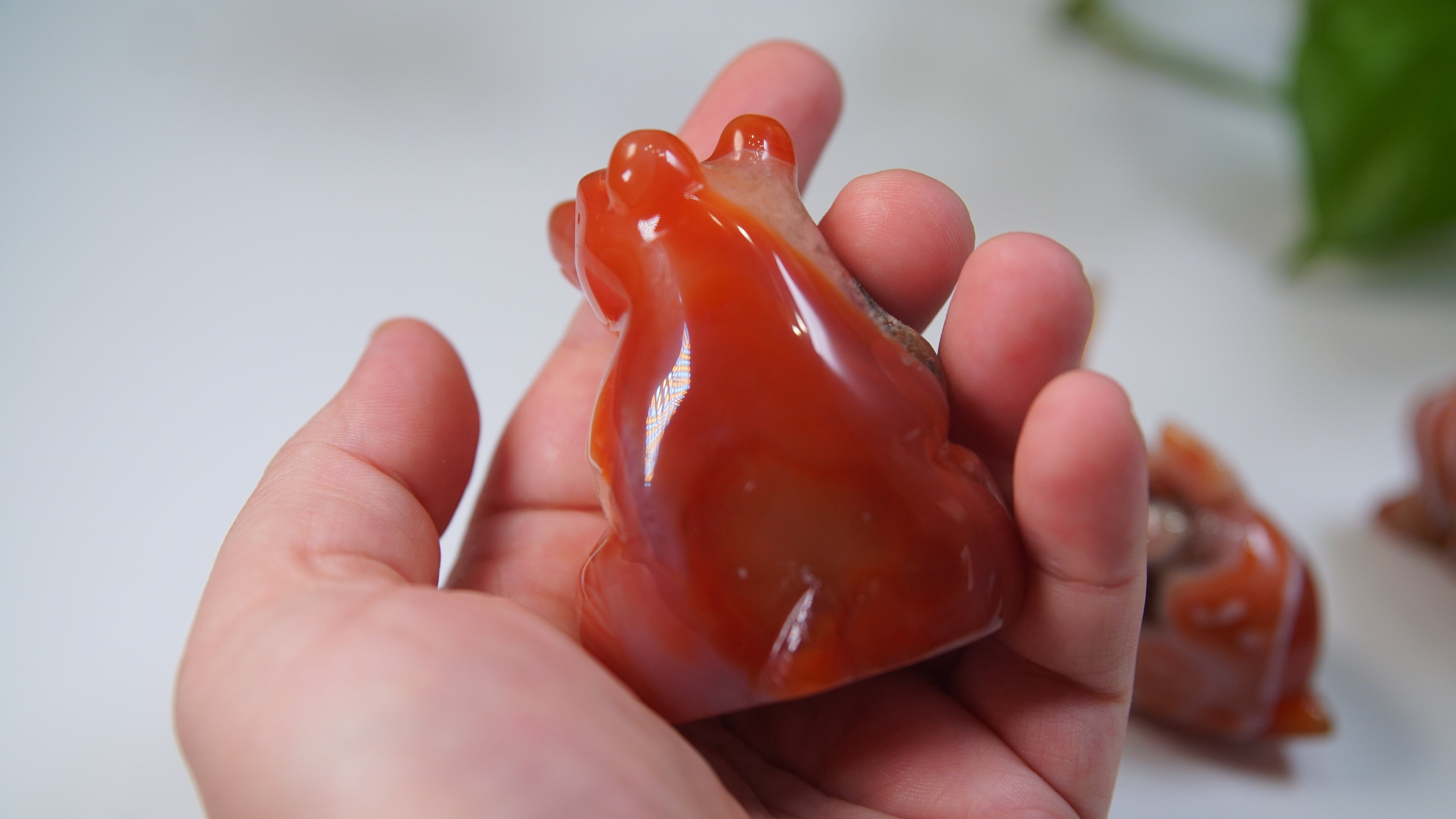 Druzy Carnelian Boutique Carvings