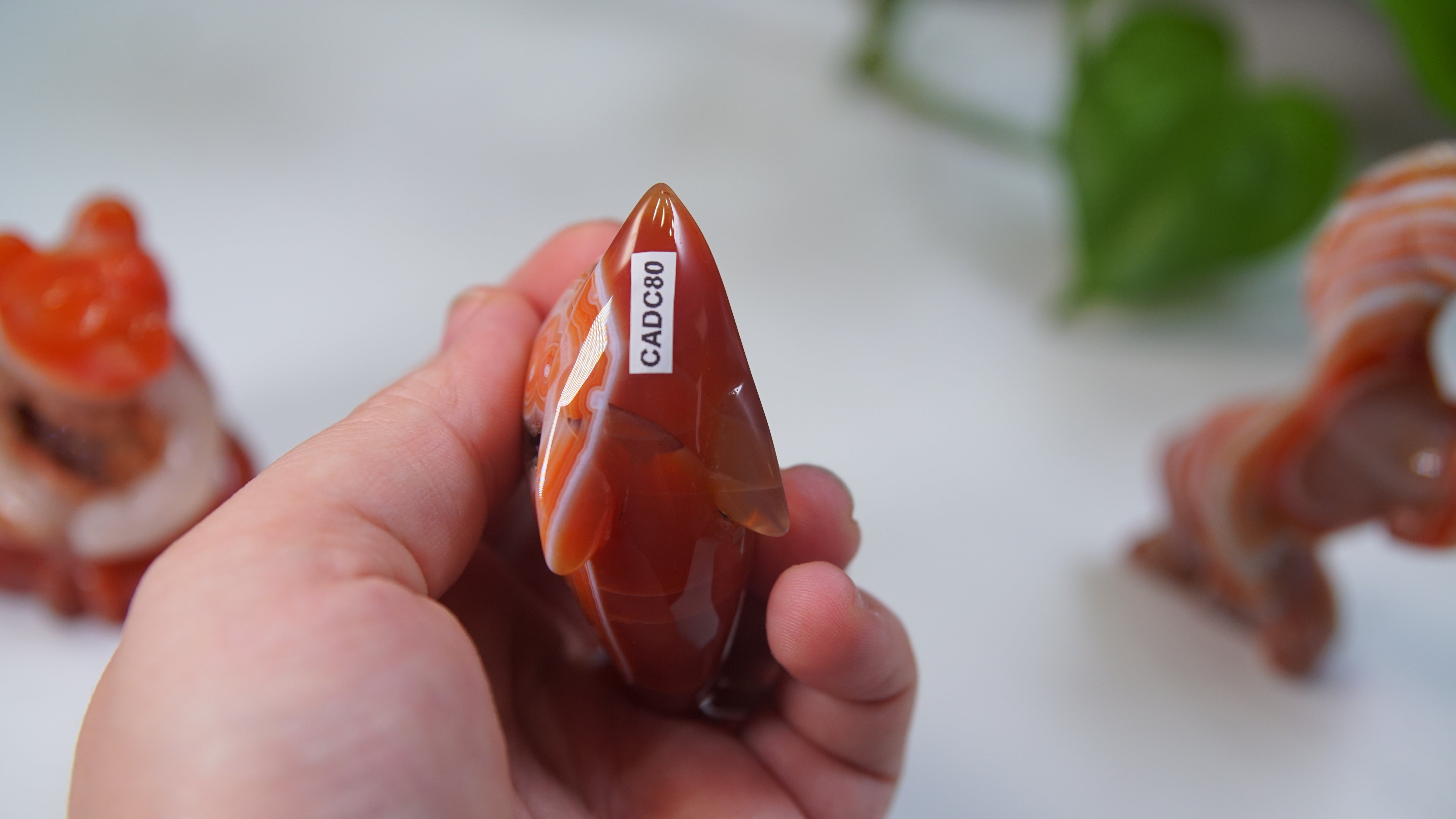 Druzy Carnelian Boutique Carvings