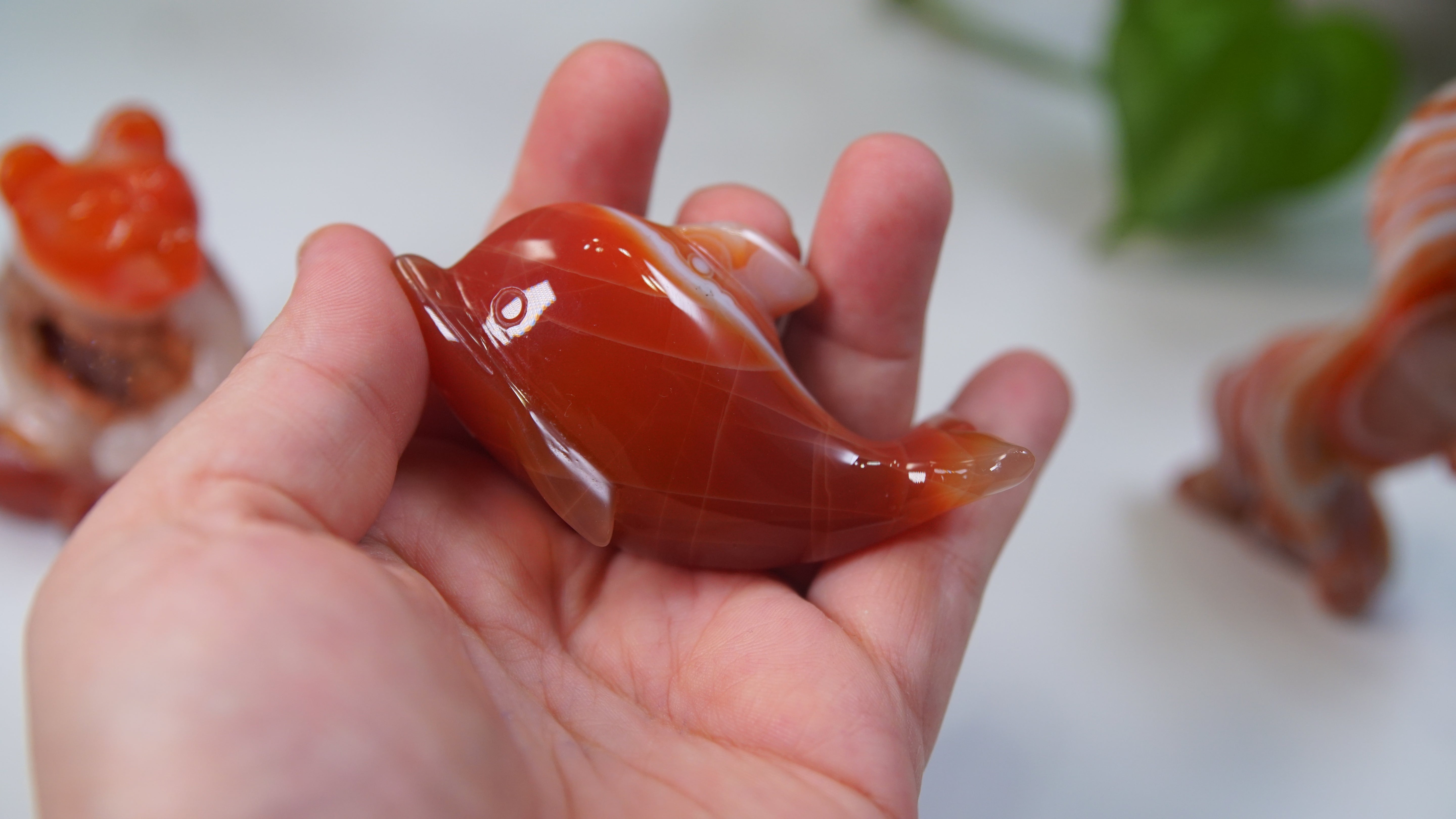 Druzy Carnelian Boutique Carvings