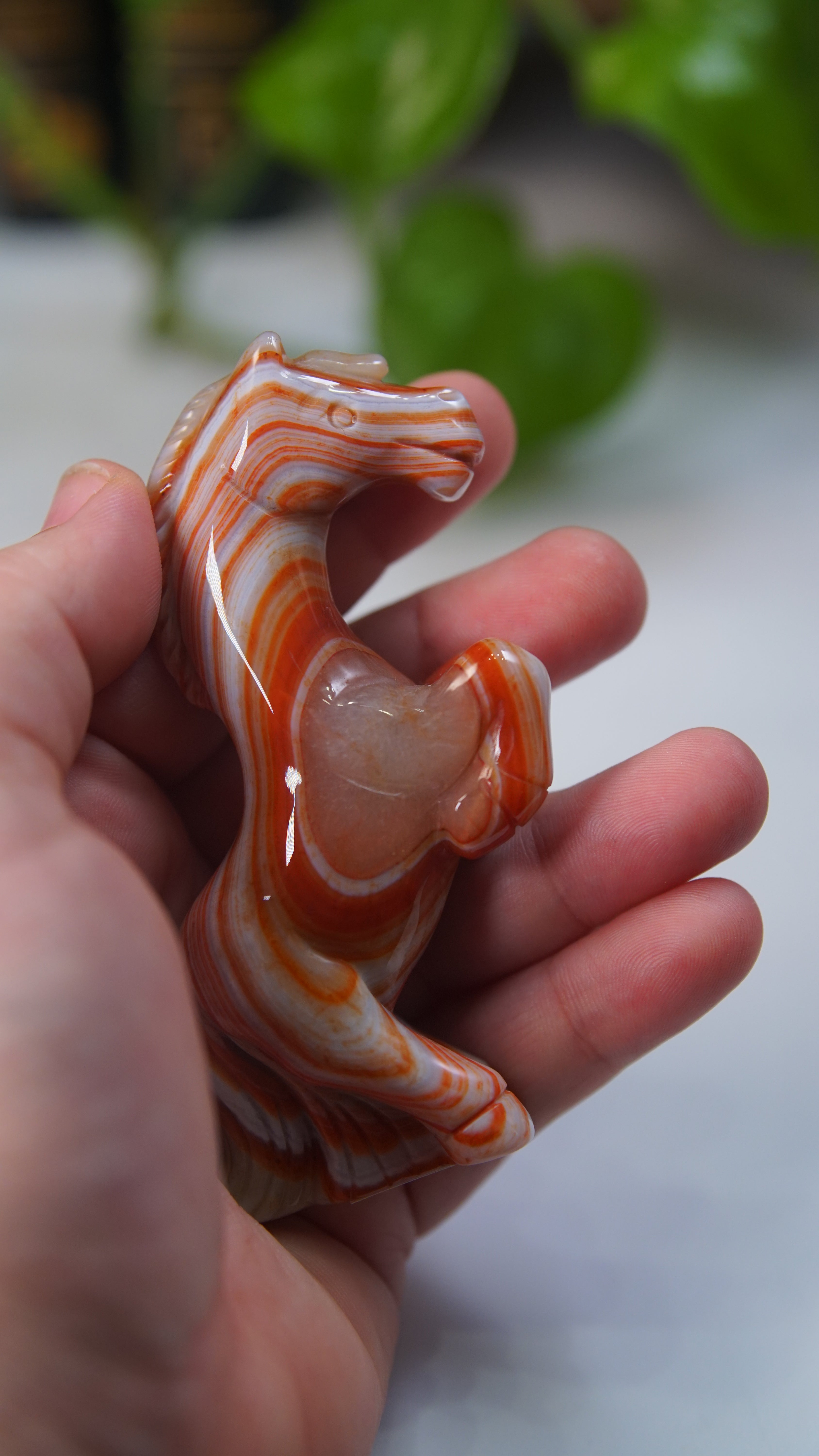 Druzy Carnelian Boutique Carvings