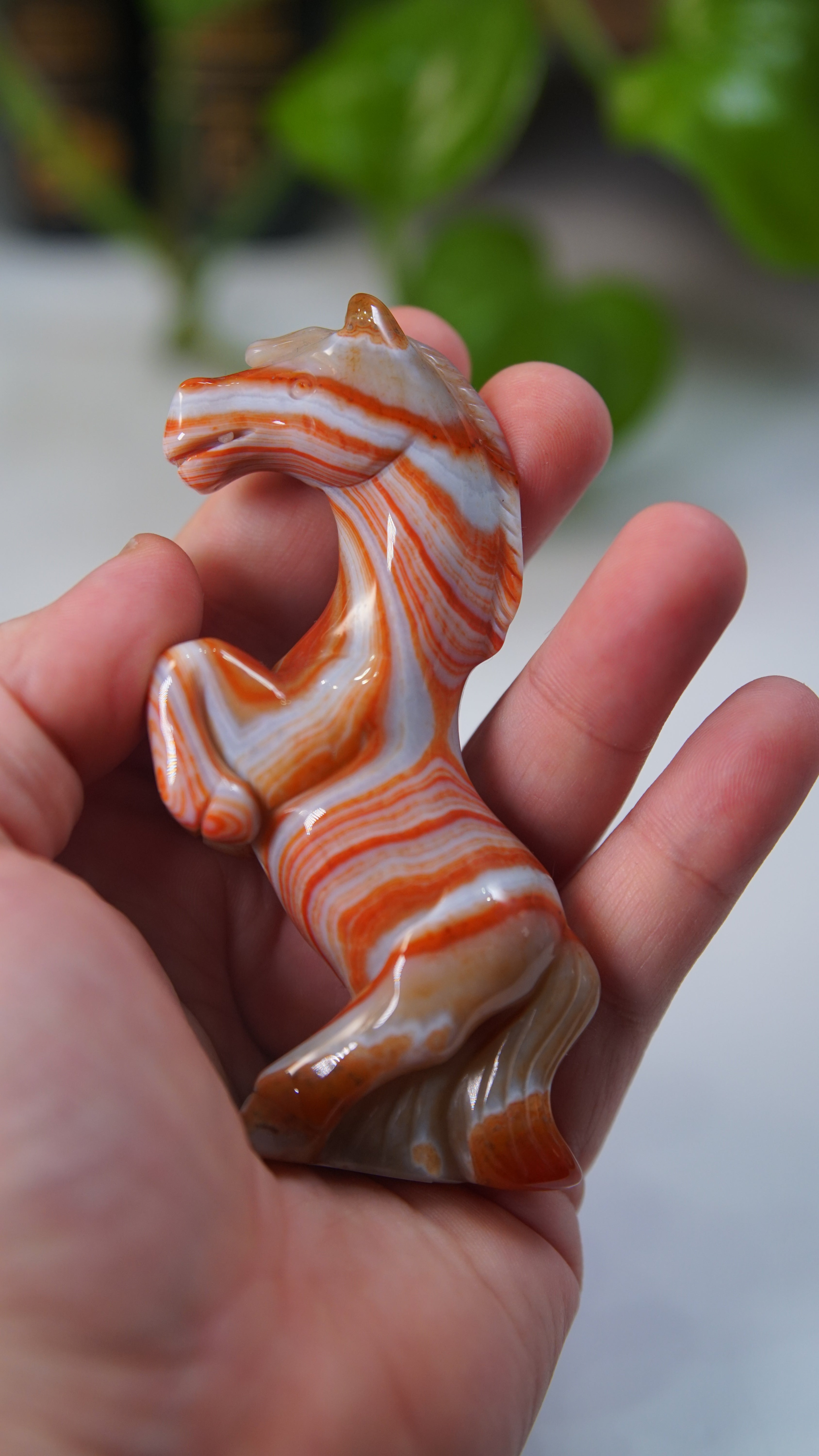 Druzy Carnelian Boutique Carvings