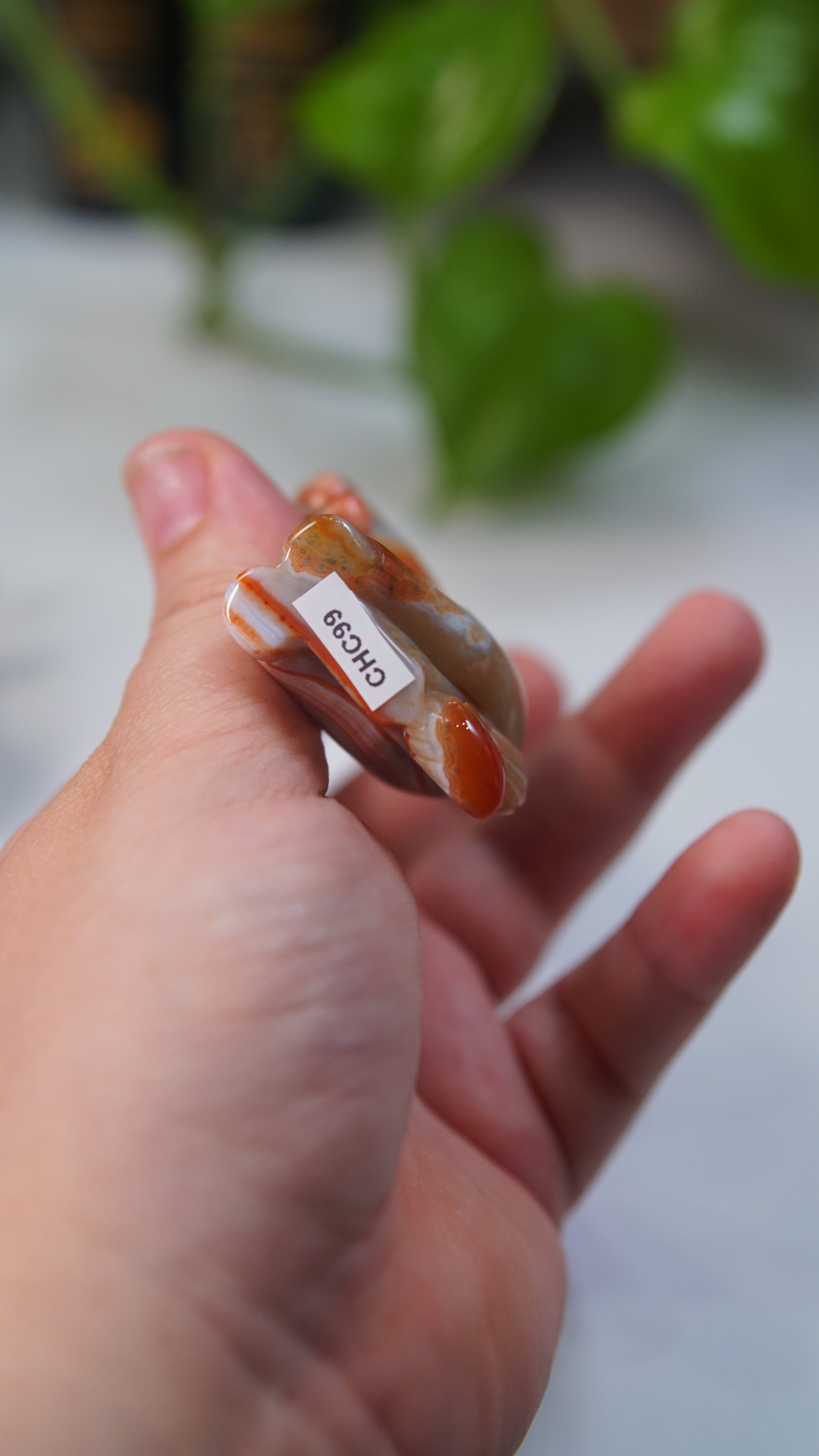 Druzy Carnelian Boutique Carvings