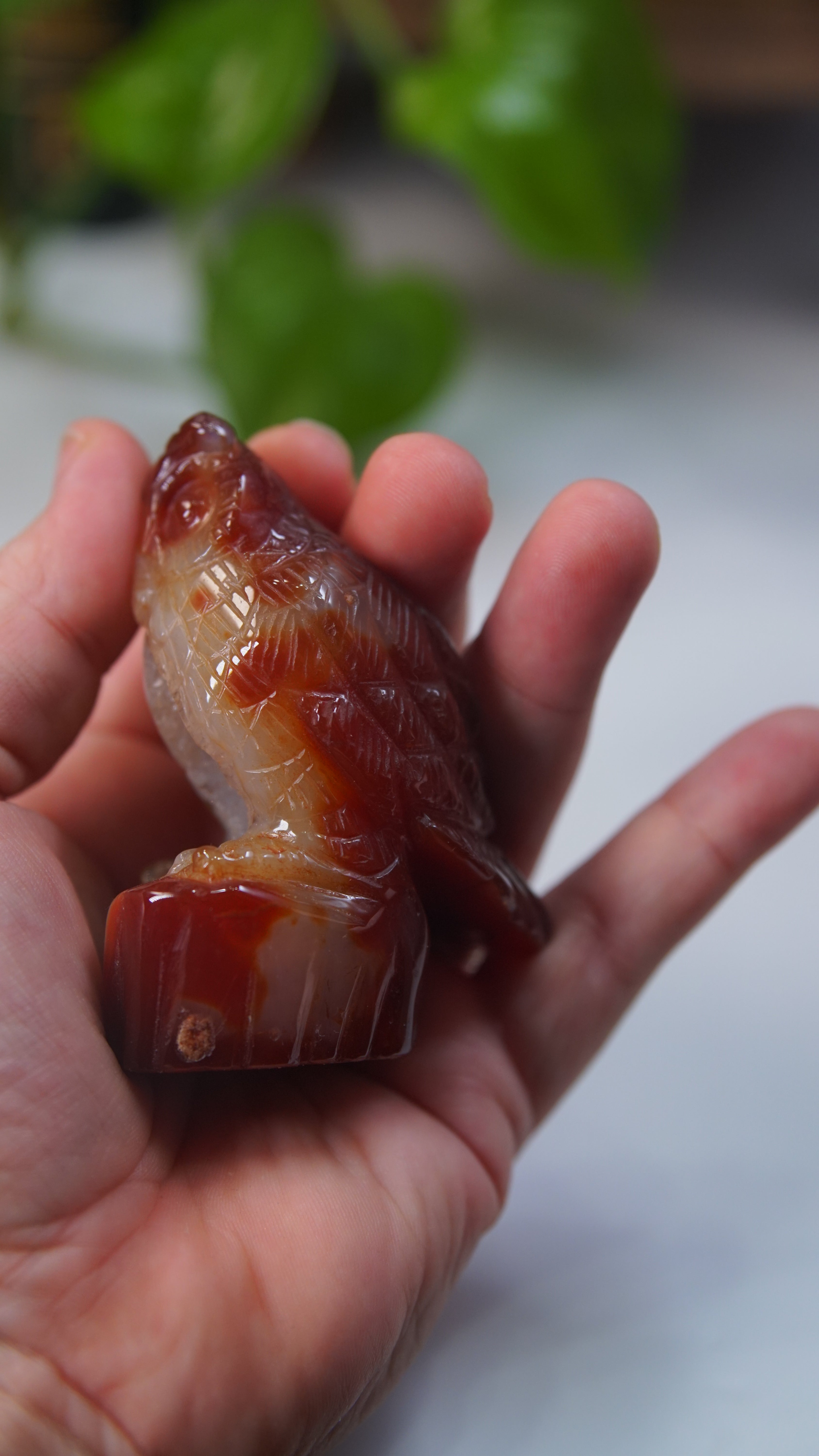 Druzy Carnelian Boutique Carvings