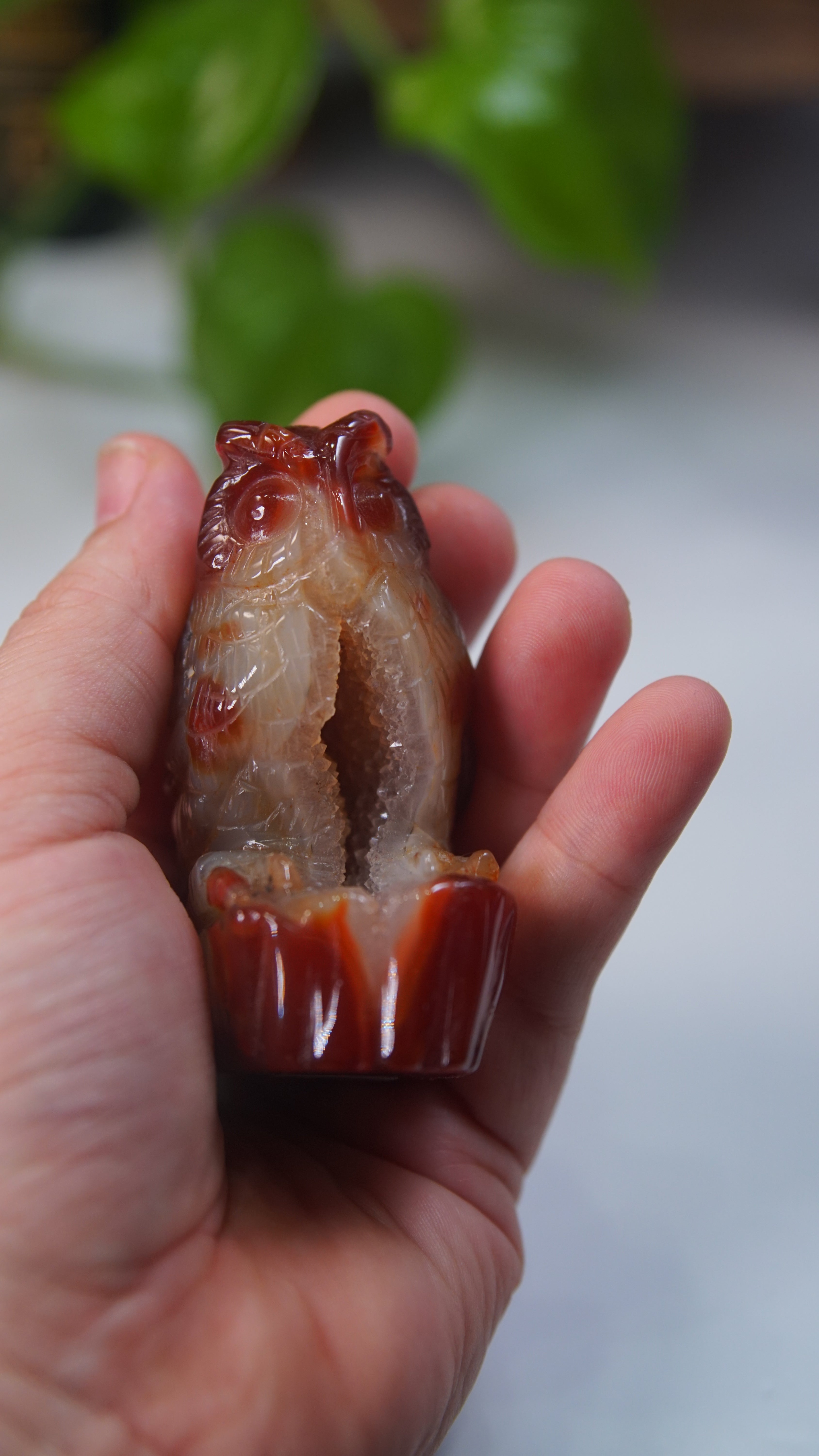 Druzy Carnelian Boutique Carvings