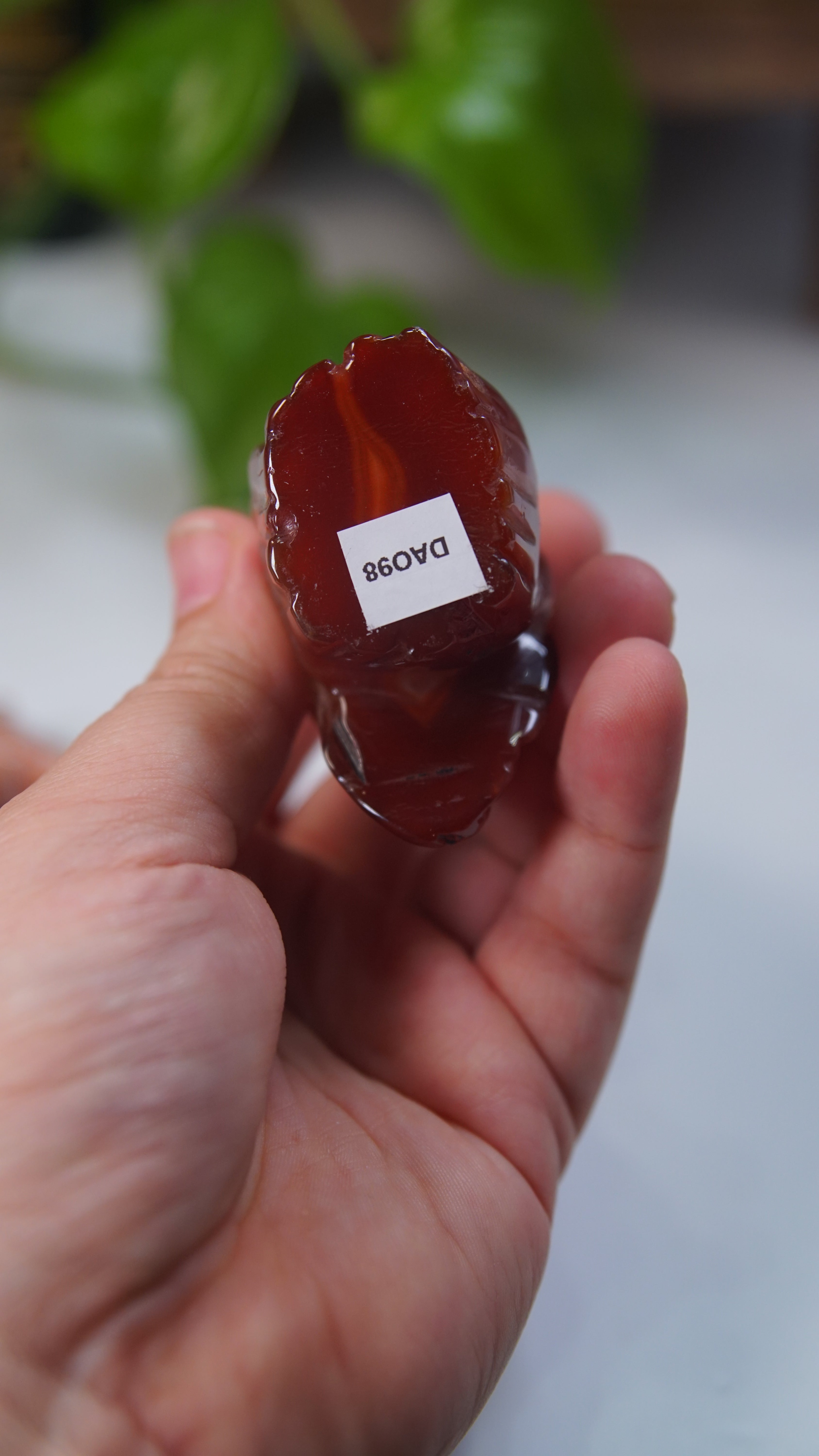 Druzy Carnelian Boutique Carvings