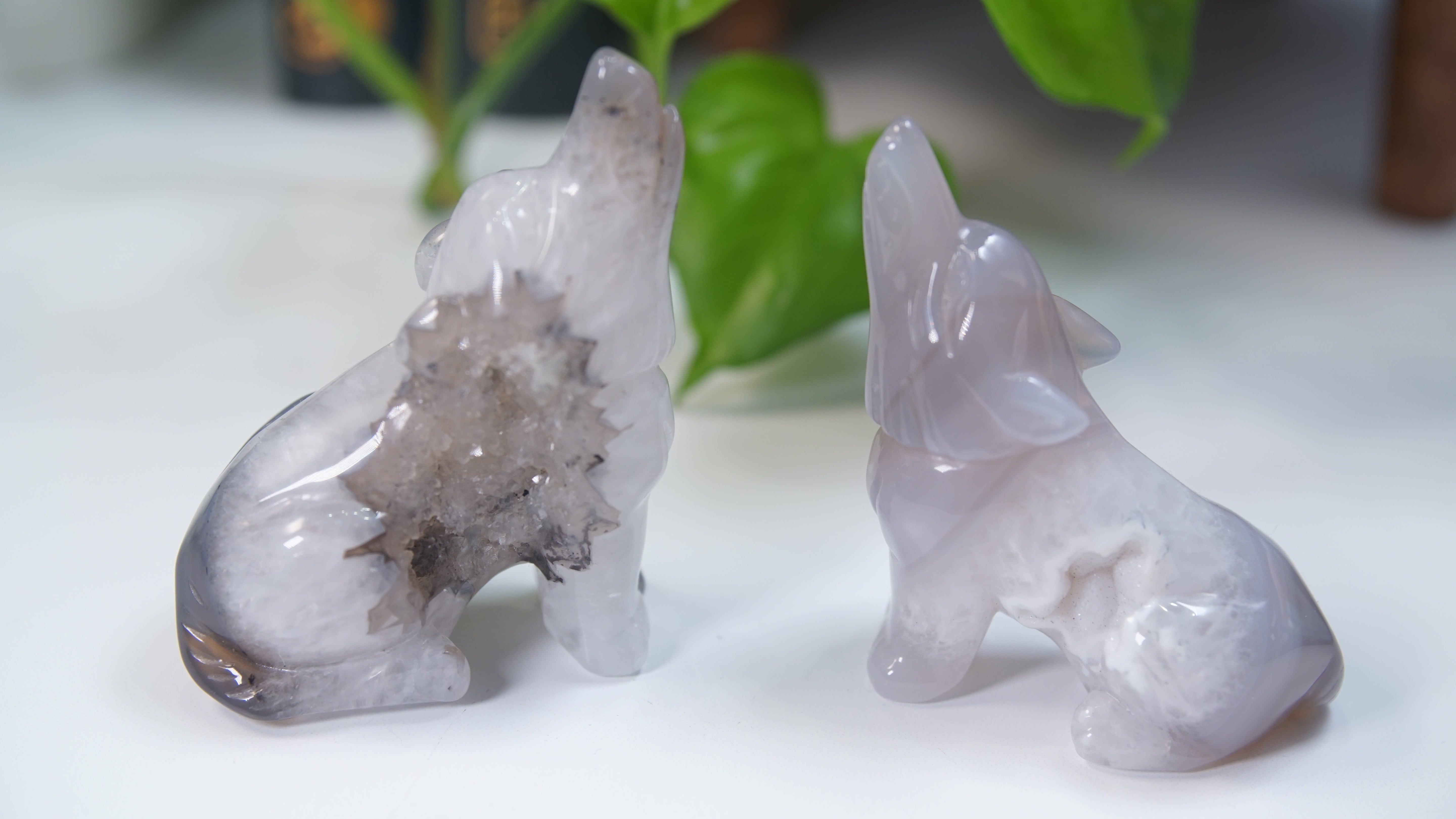 Druzy Purple Blue Agate Wolf Boutique Carvings