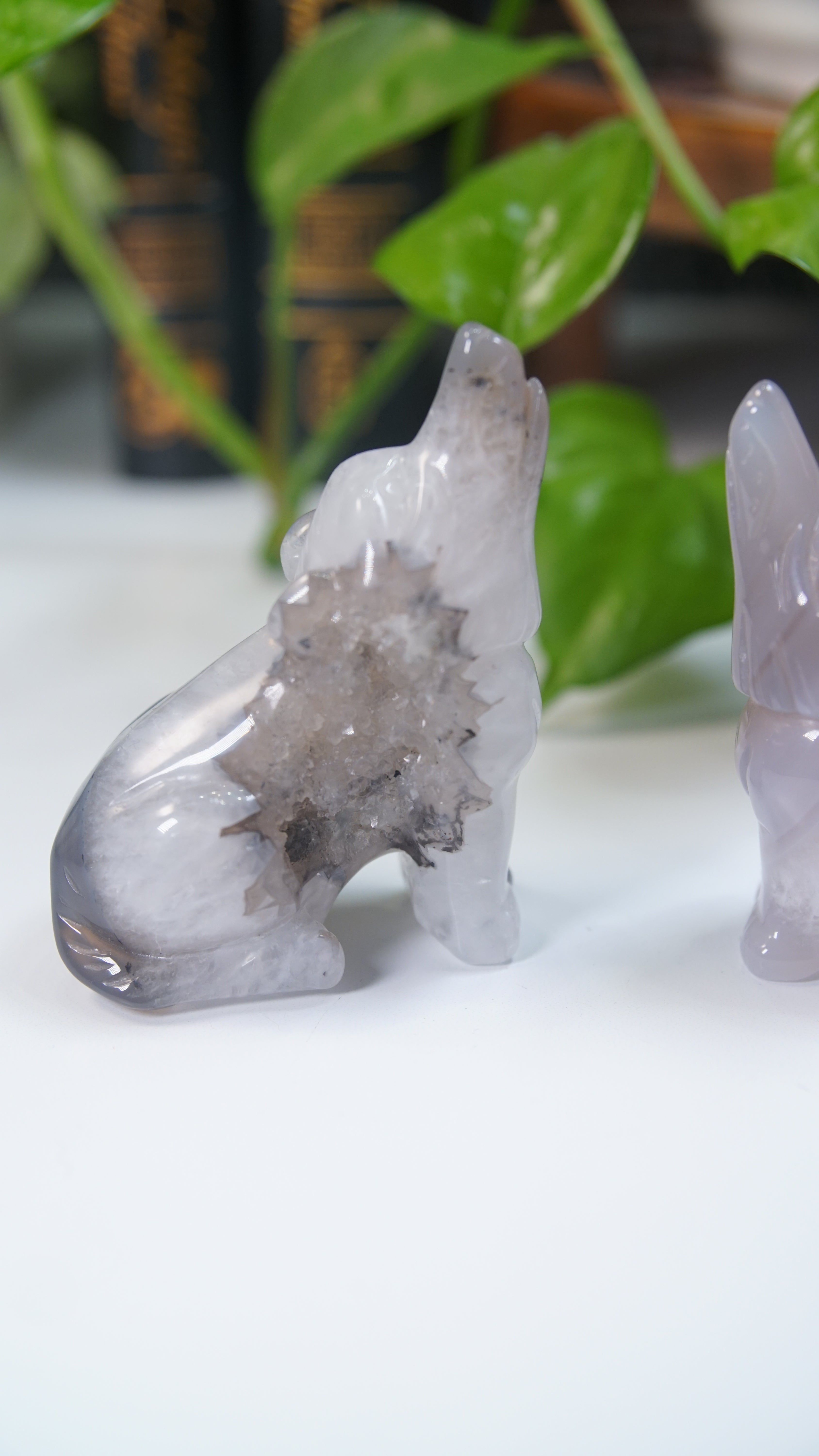 Druzy Purple Blue Agate Wolf Boutique Carvings