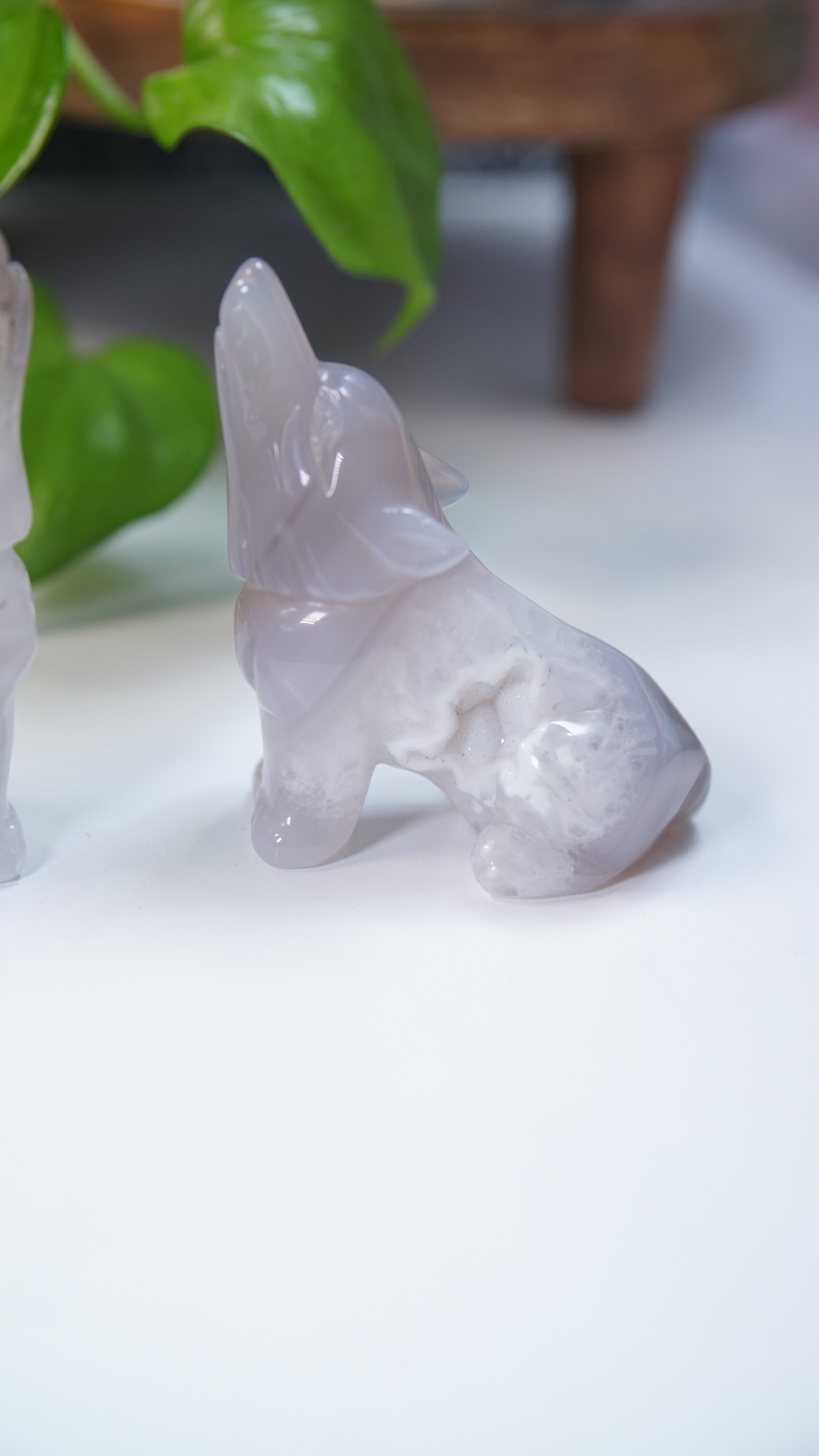 Druzy Purple Blue Agate Wolf Boutique Carvings