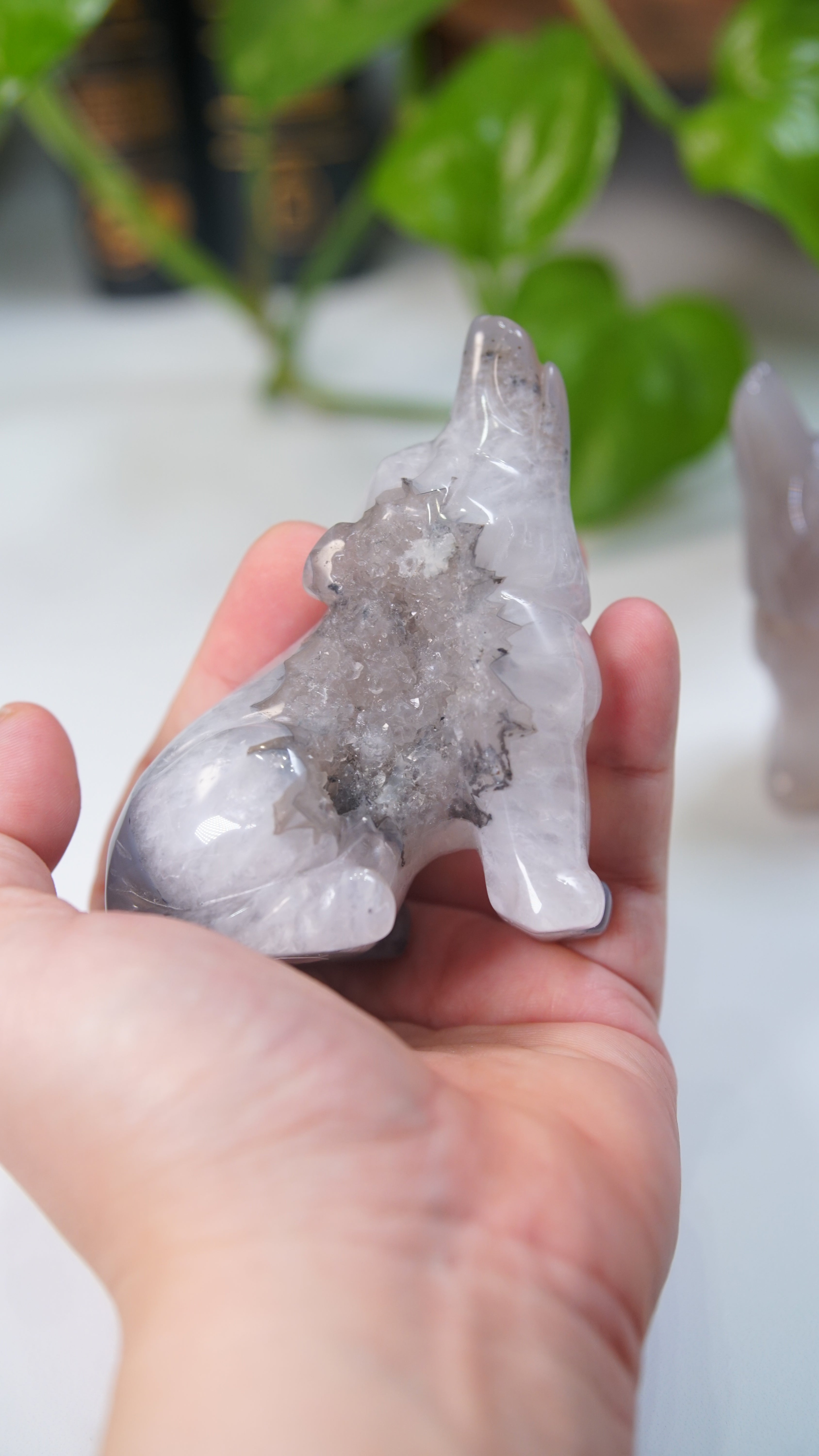 Druzy Purple Blue Agate Wolf Boutique Carvings