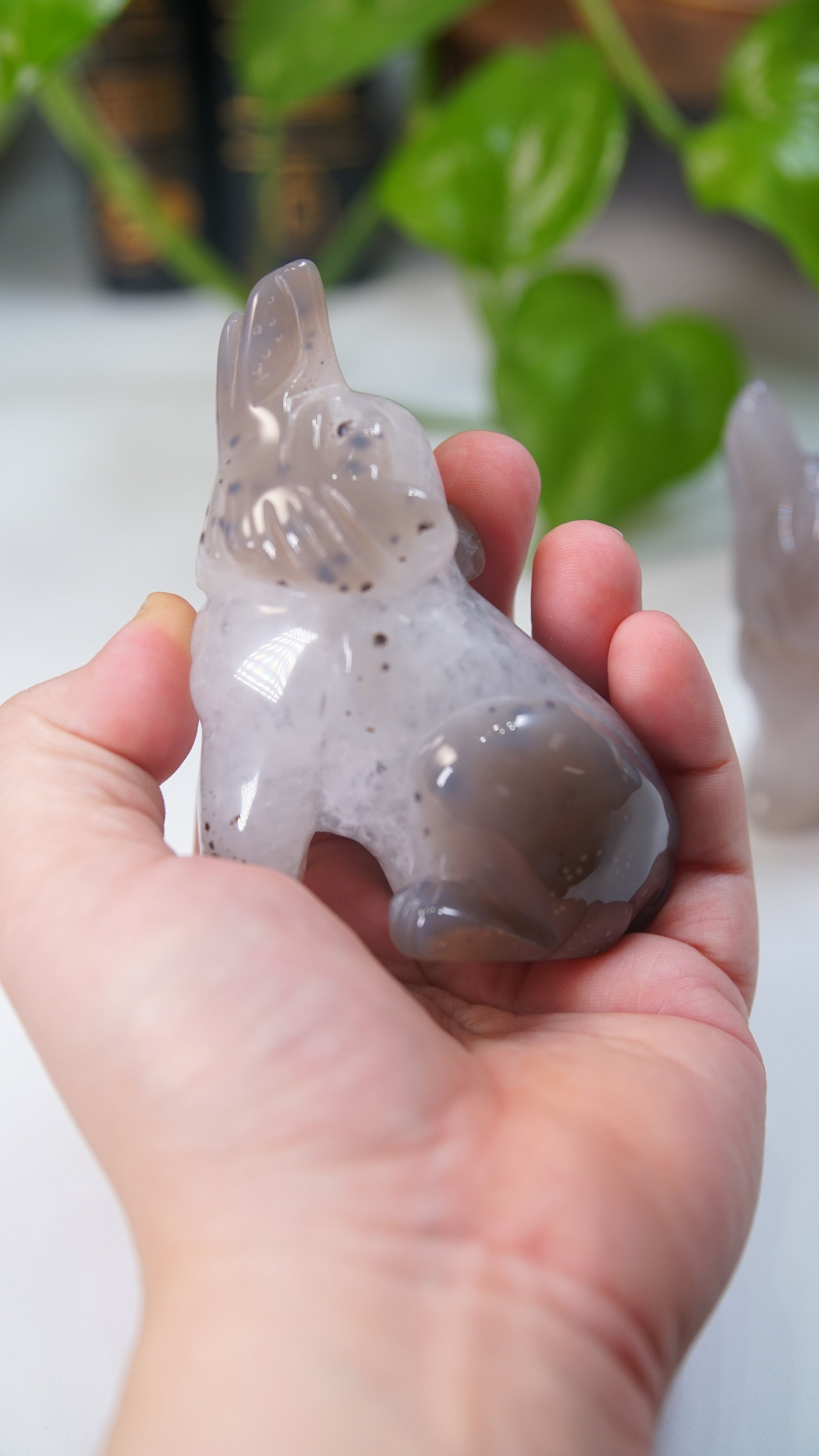 Druzy Purple Blue Agate Wolf Boutique Carvings