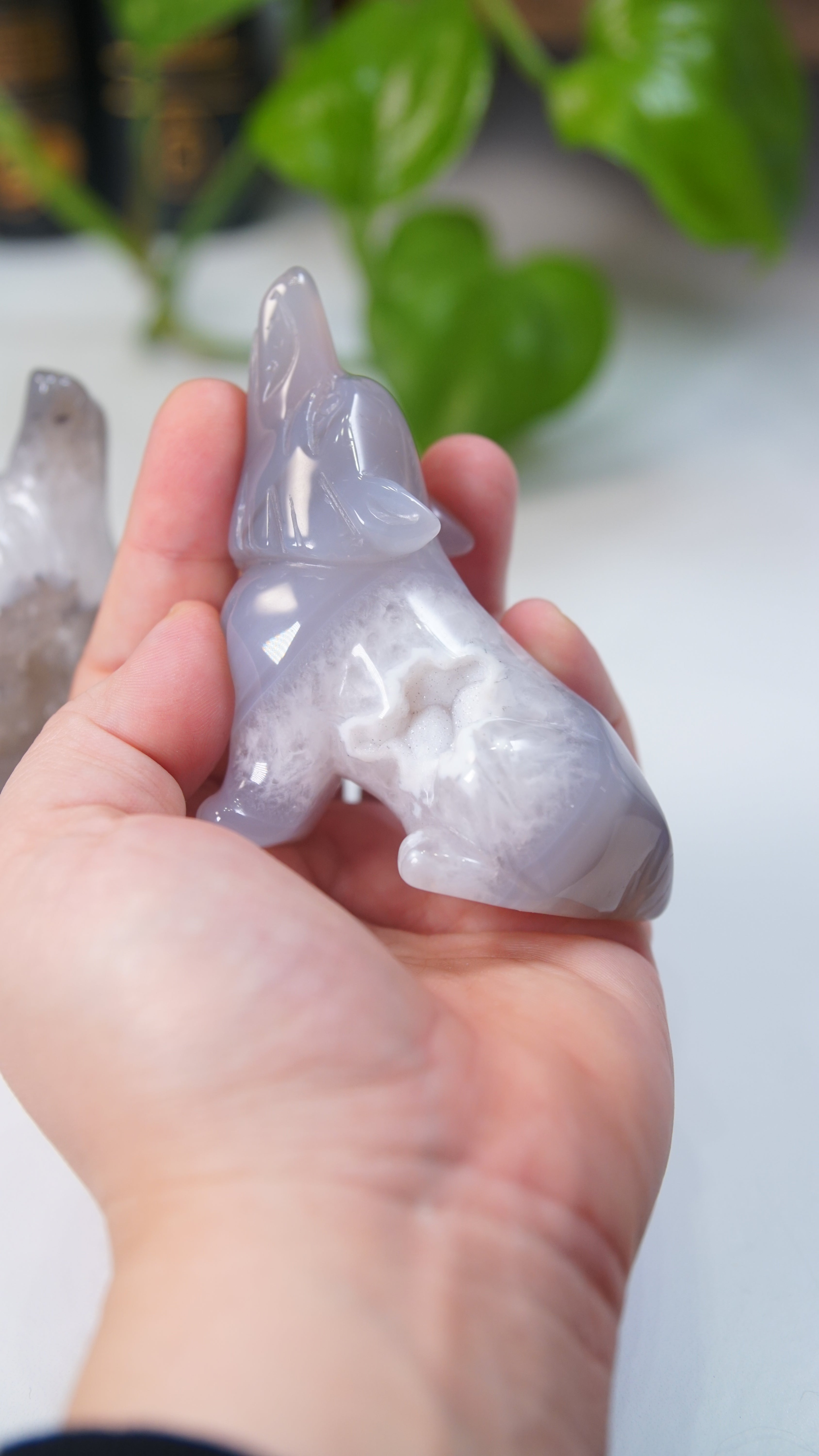 Druzy Purple Blue Agate Wolf Boutique Carvings