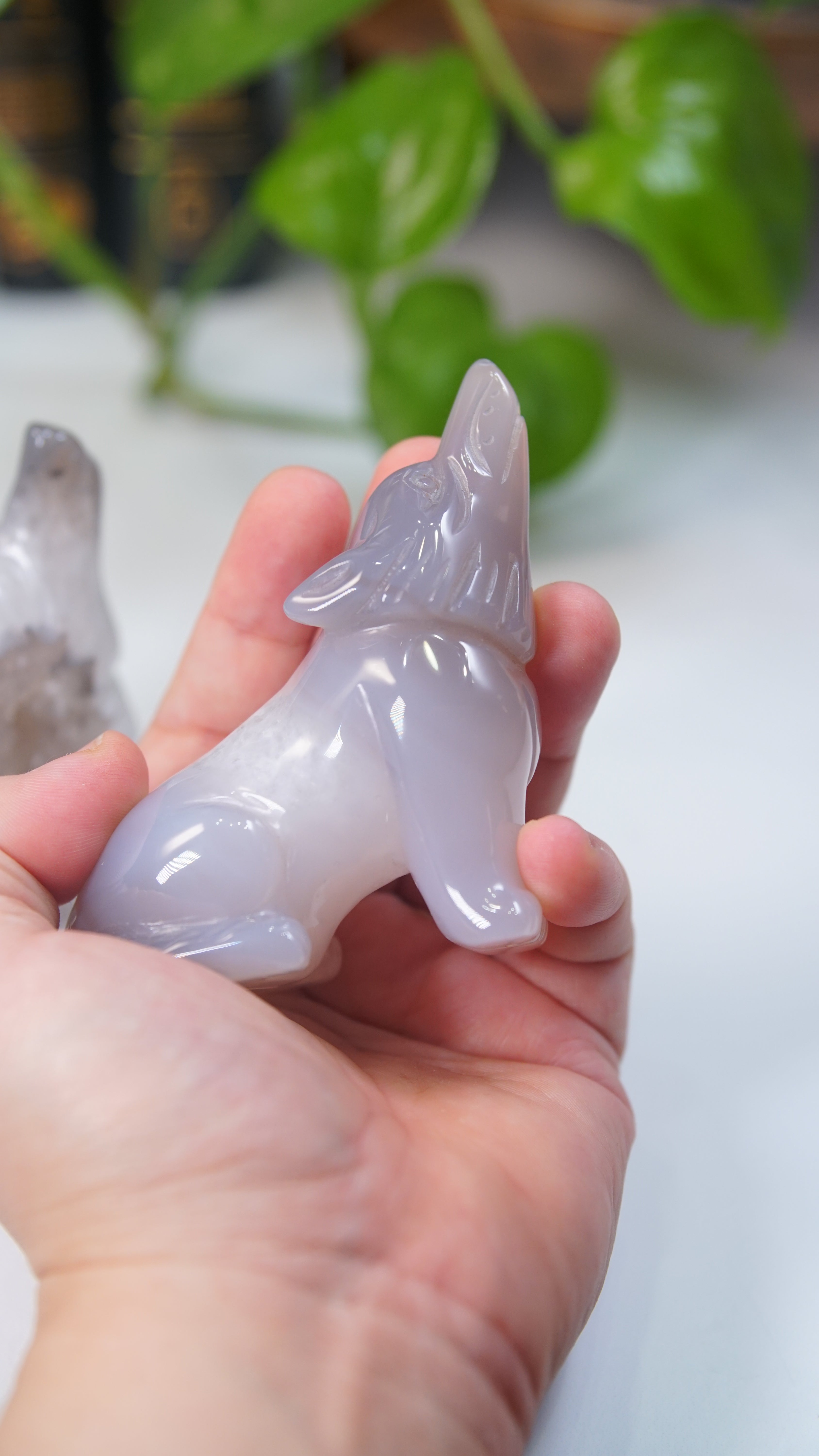 Druzy Purple Blue Agate Wolf Boutique Carvings