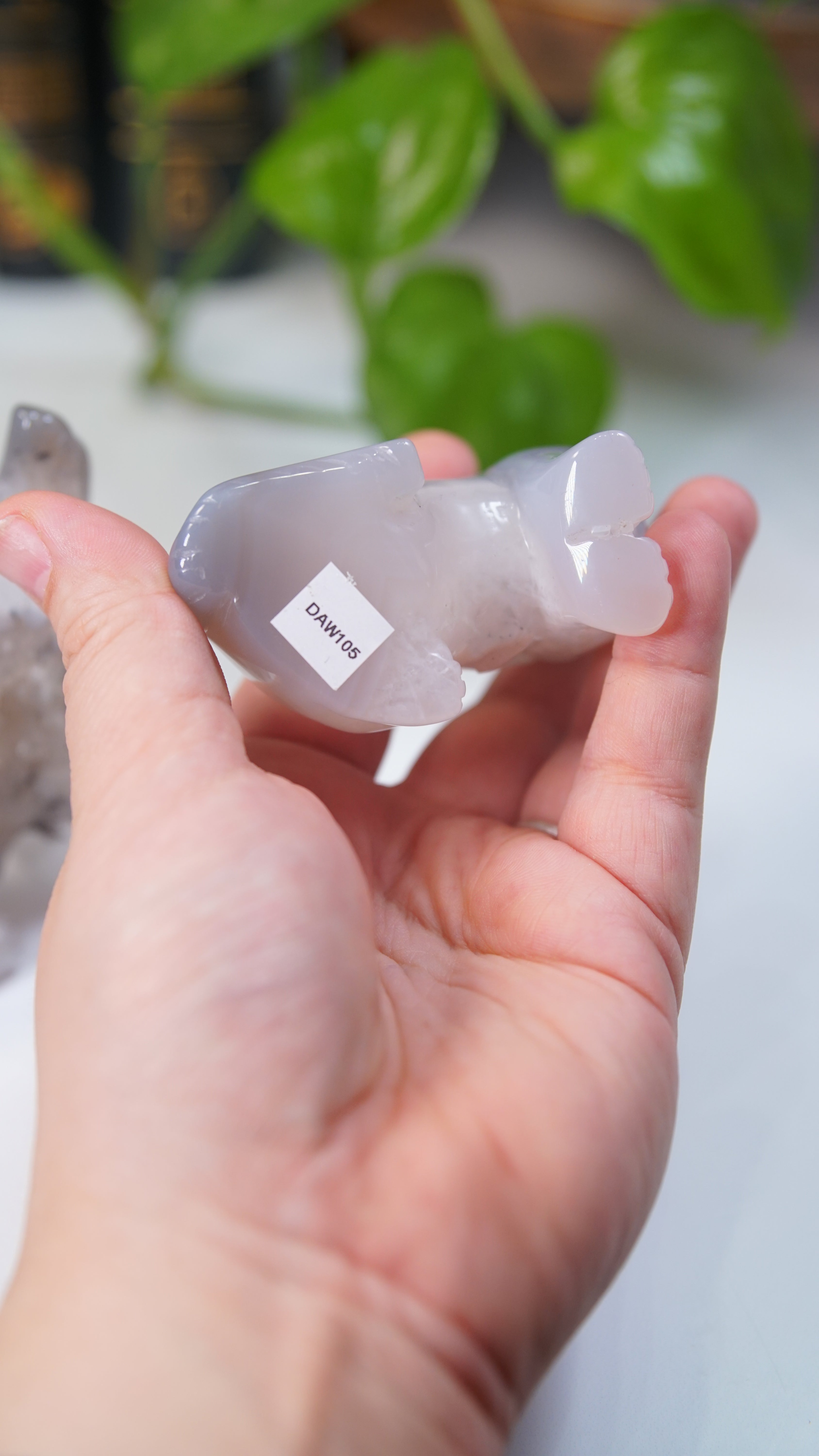 Druzy Purple Blue Agate Wolf Boutique Carvings