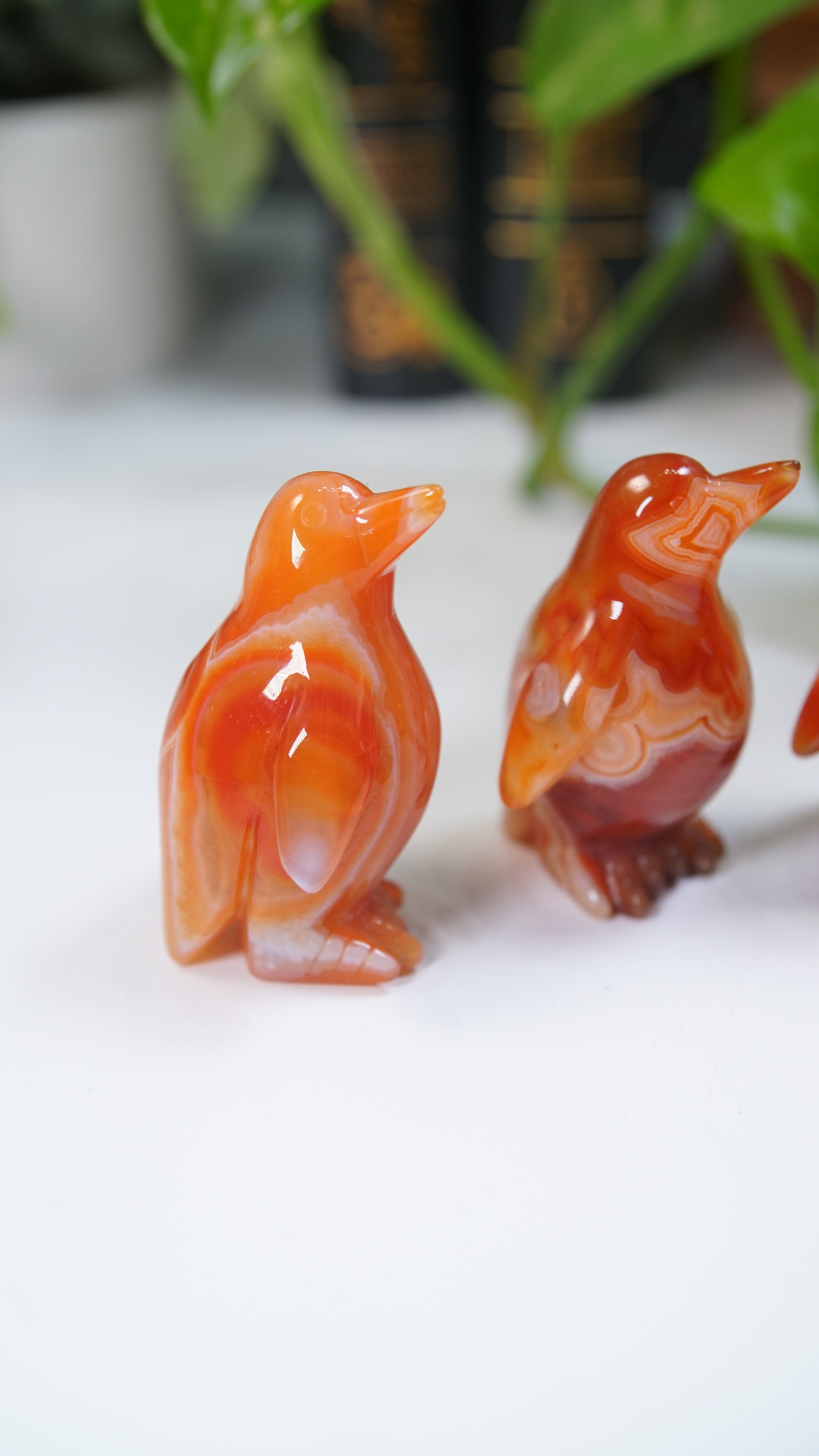Carnelian Penguins Boutique Carvings